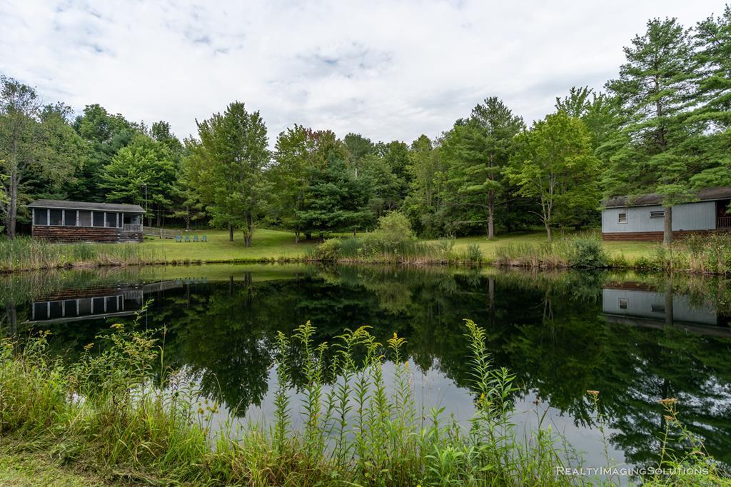 350 Edgecomb Hill Road Lockwood, NY 14859 - Photo 1 of 24 Gallery Image 1