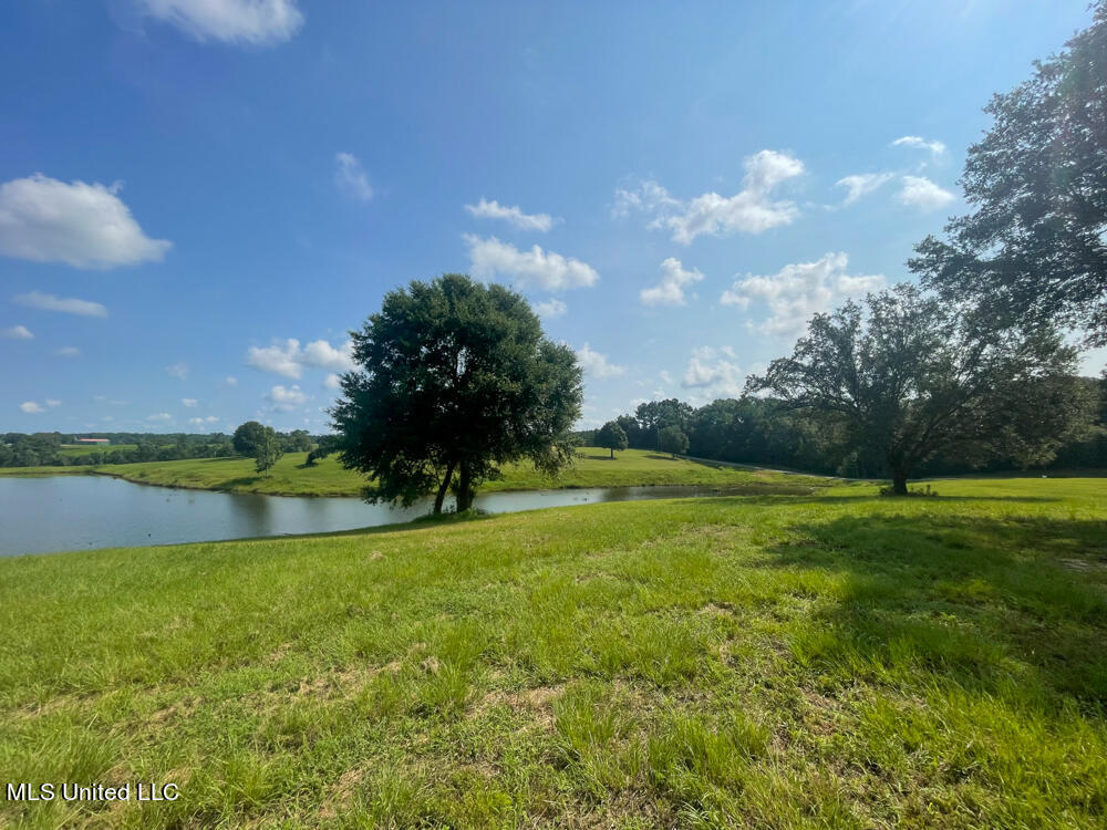 Lot 11 Conner Stringer Drive Lucedale, MS 39452 - Photo 48 of 54 IMG_2319