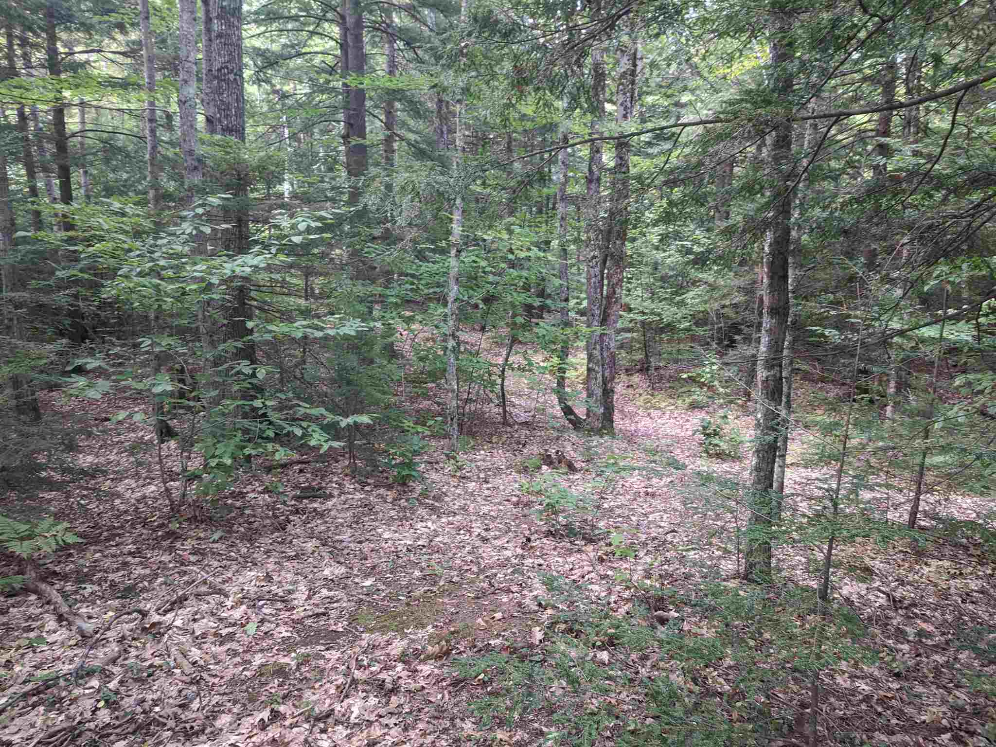 Plumer Hill Road Alexandria, NH 03222 - Photo 1 of 5