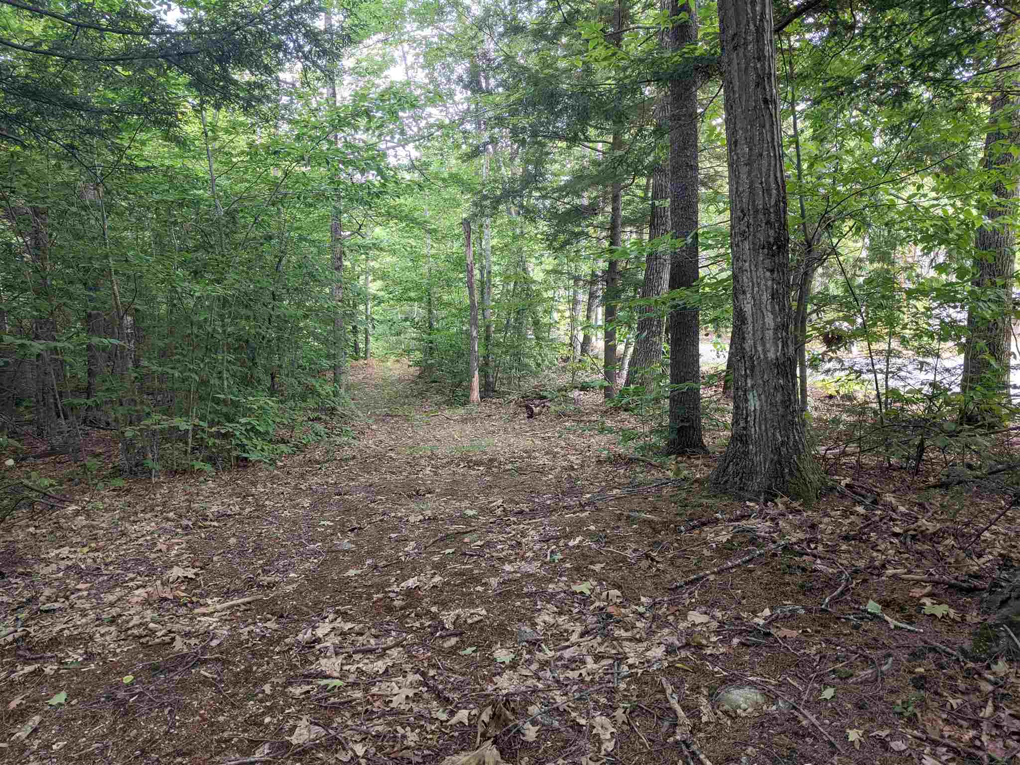Plumer Hill Road Alexandria, NH 03222 - Photo 3 of 5