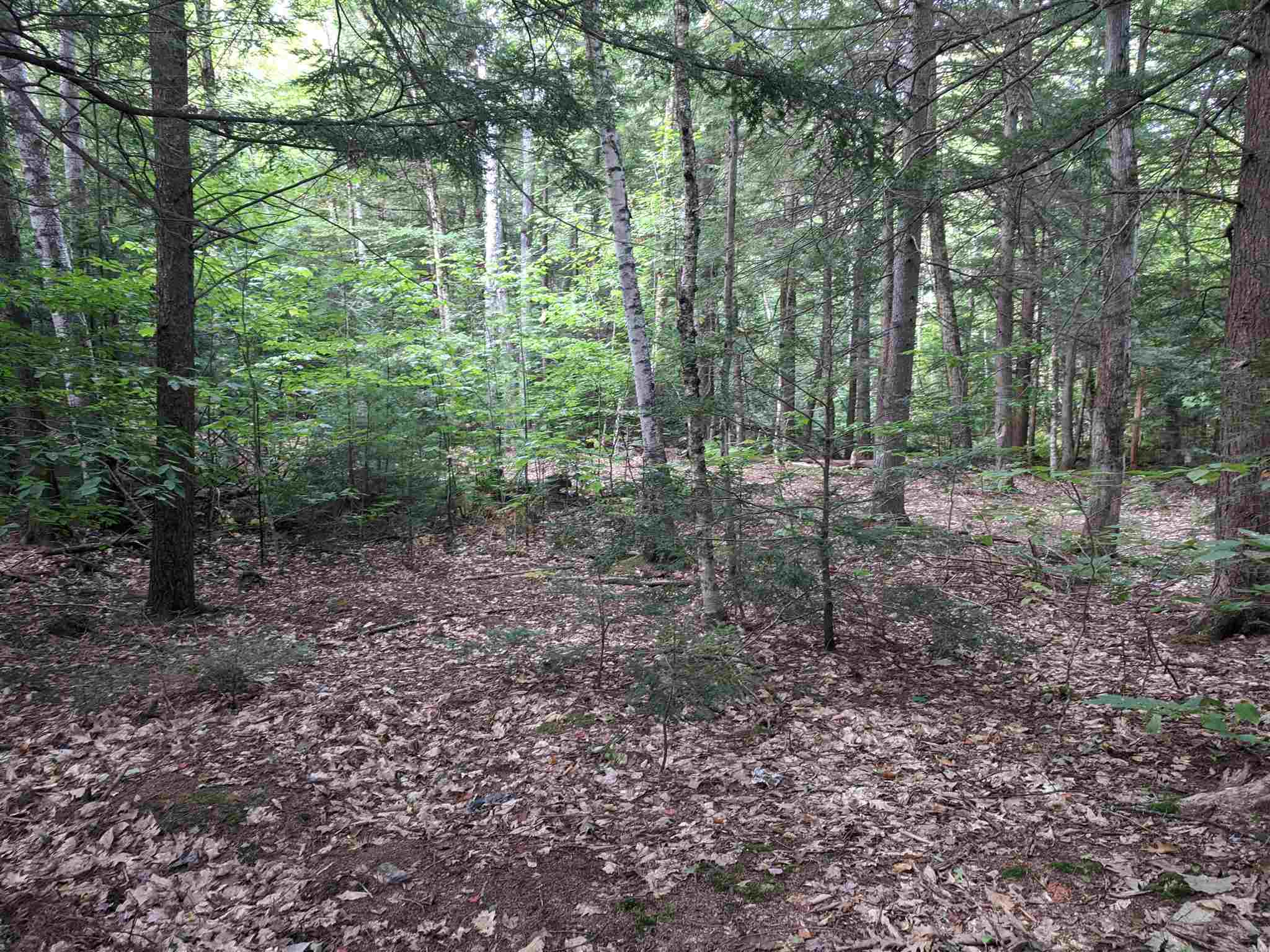 Plumer Hill Road Alexandria, NH 03222 - Photo 4 of 5