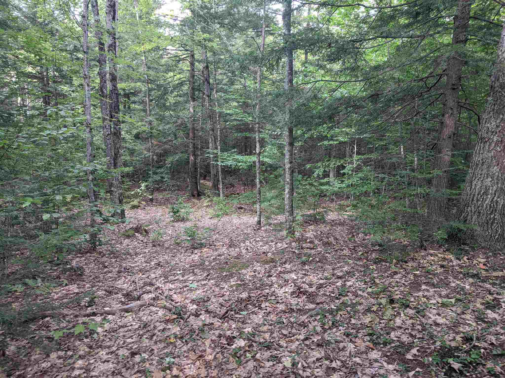 Plumer Hill Road Alexandria, NH 03222 - Photo 5 of 5