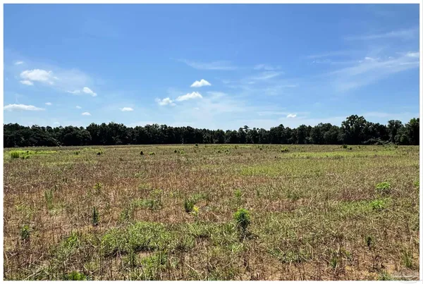 $243,600 | Lot 3 Tatanka Lane, Jay, FL 32565
