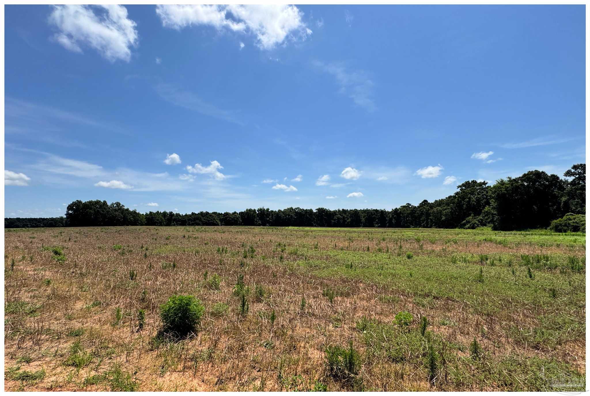 Lot 3 Three Hollow Road Jay, FL 32565 - Photo 9 of 14