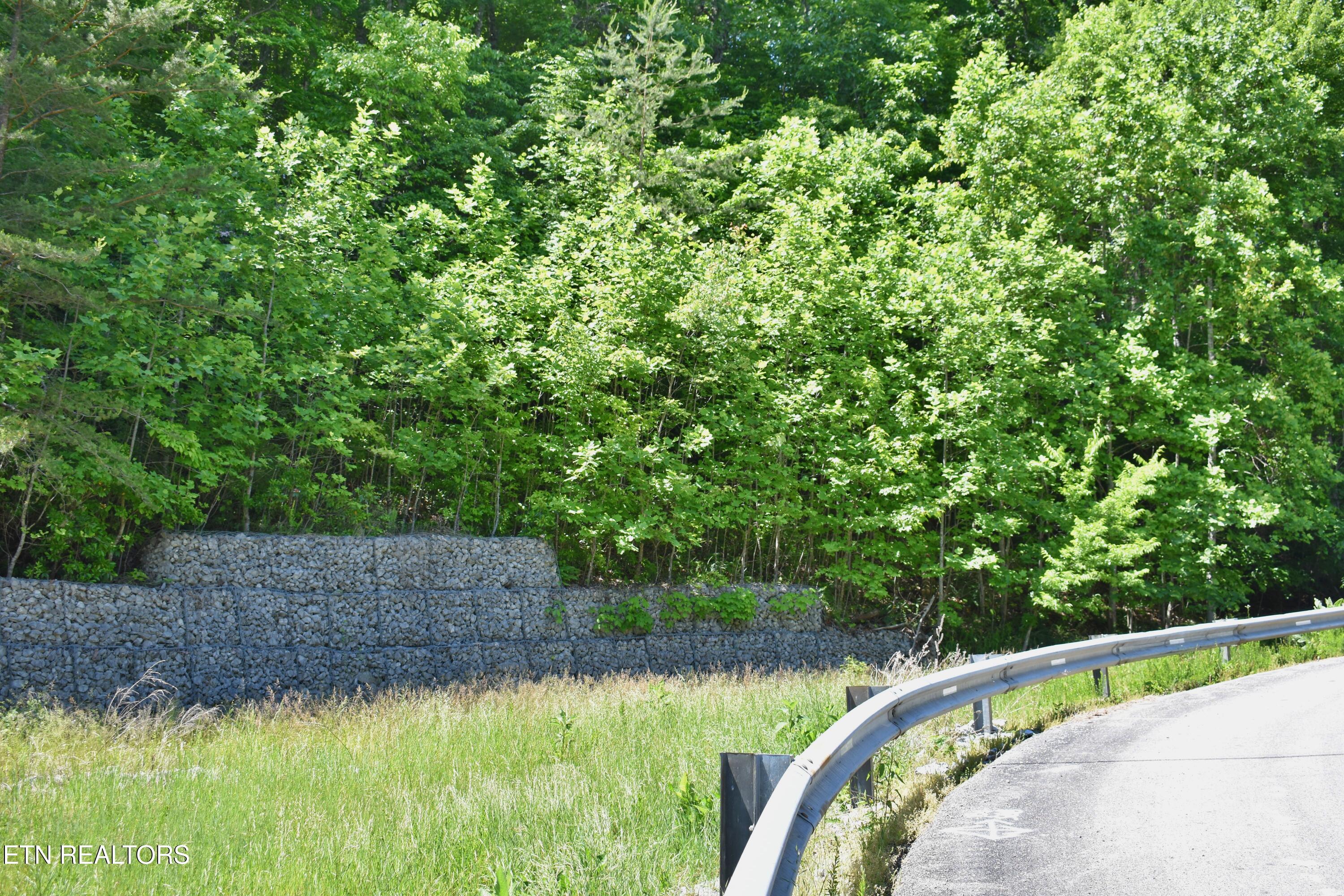 0 Flint Ridge Road Rockwood, TN 37854 - Photo 22 of 37 DSC_0658