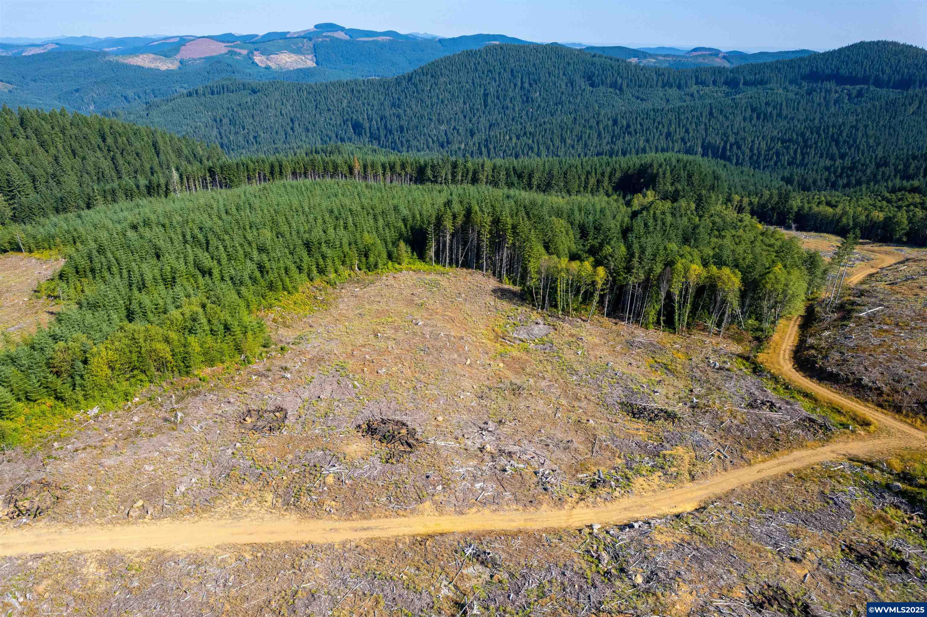 0 Bald Mountain Access Road Willamina, OR 97396 - Photo 5 of 30