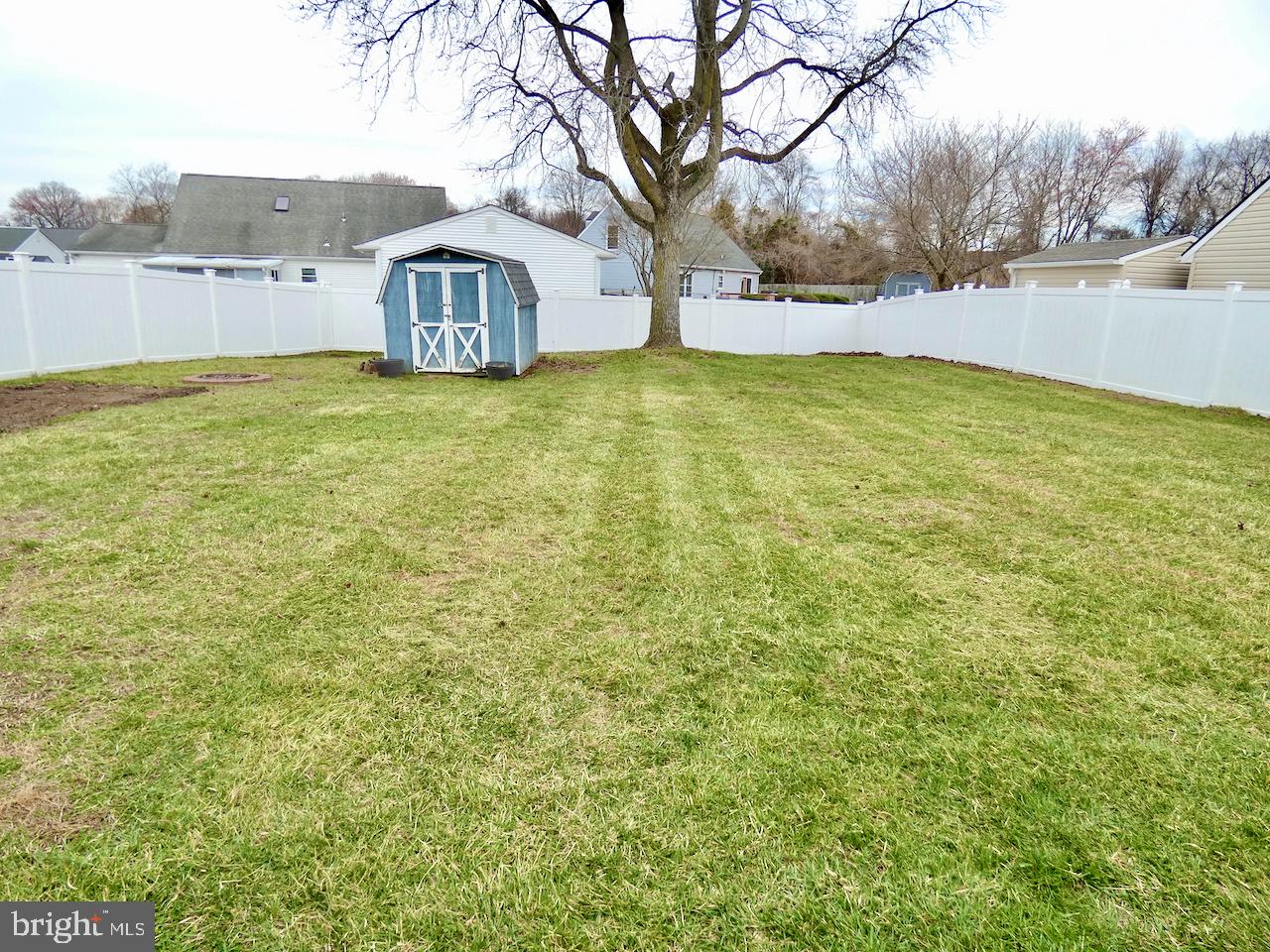 5 Acapella Court Newark, DE 19713 - Photo 60 of 68 a view of a large tree with a yard