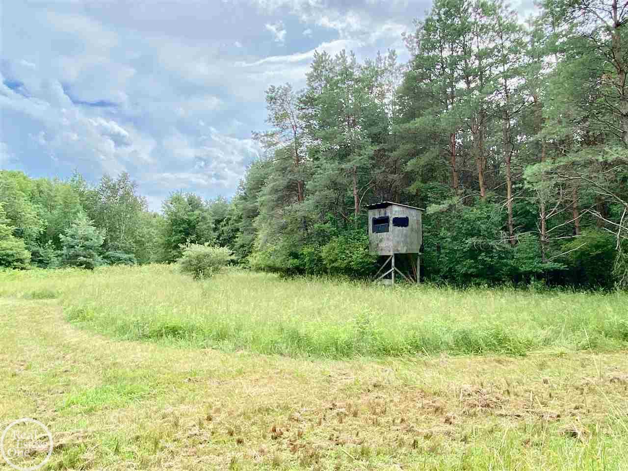 7701 Jordan Road Melvin, MI 48454 - Photo 56 of 78