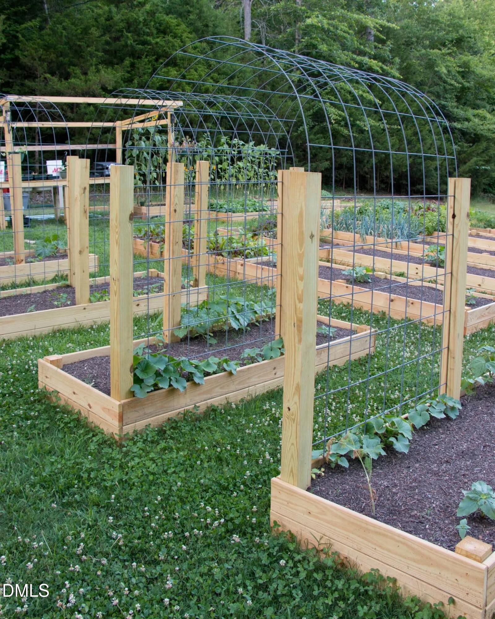 4313 Mitchell Mill Road Wake Forest, NC 27587 - Photo 35 of 45 facebook_1769534785259_74219668279545701