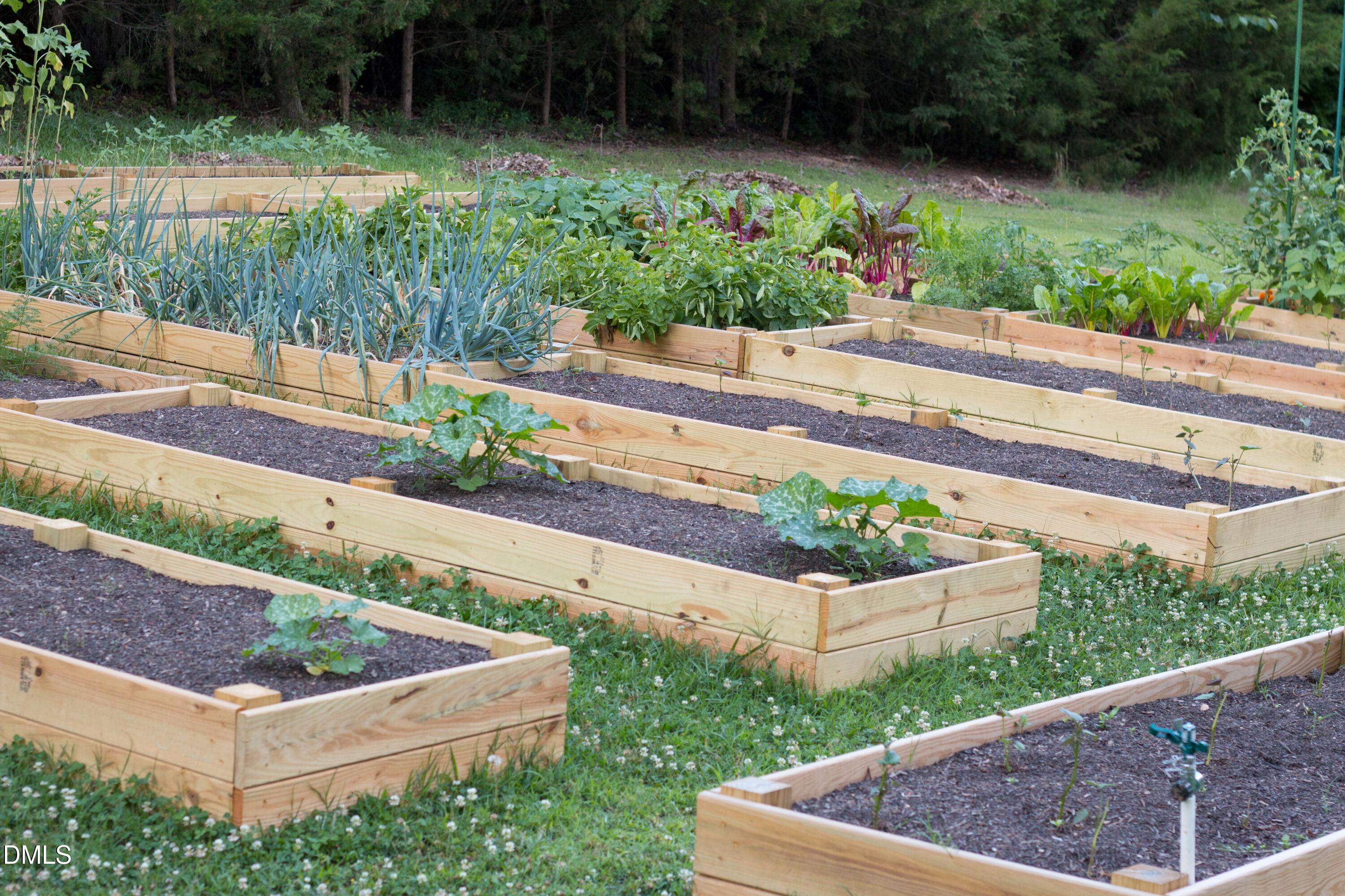 4313 Mitchell Mill Road Wake Forest, NC 27587 - Photo 36 of 45 Garden (1)