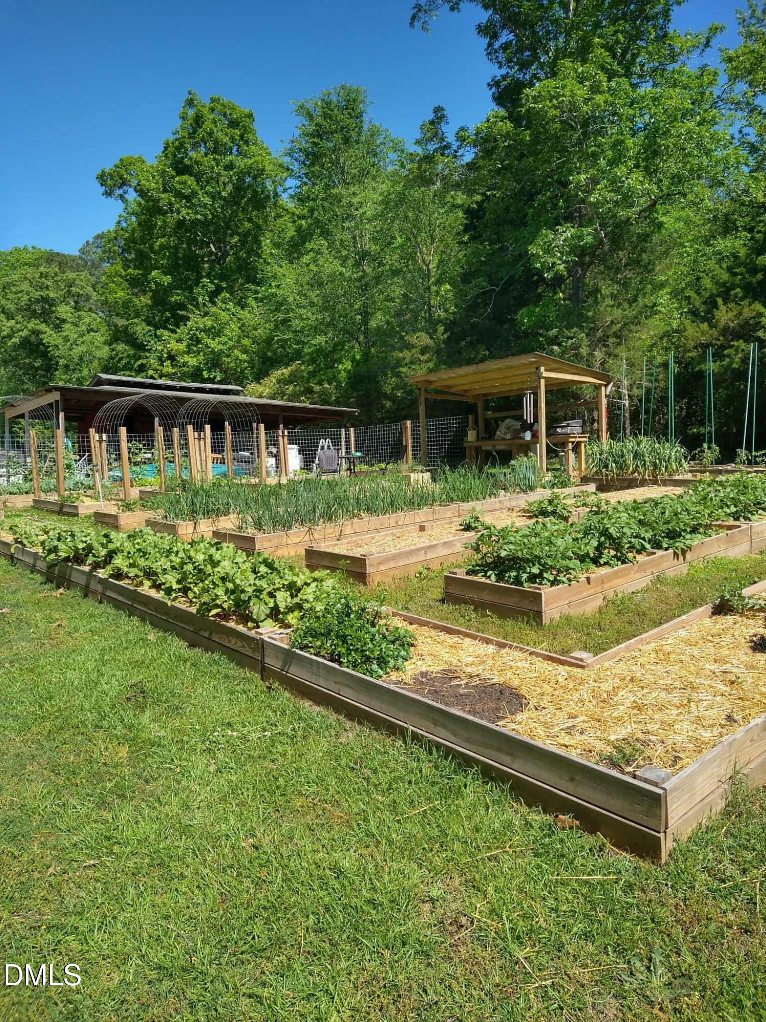 4313 Mitchell Mill Road Wake Forest, NC 27587 - Photo 37 of 45 garden