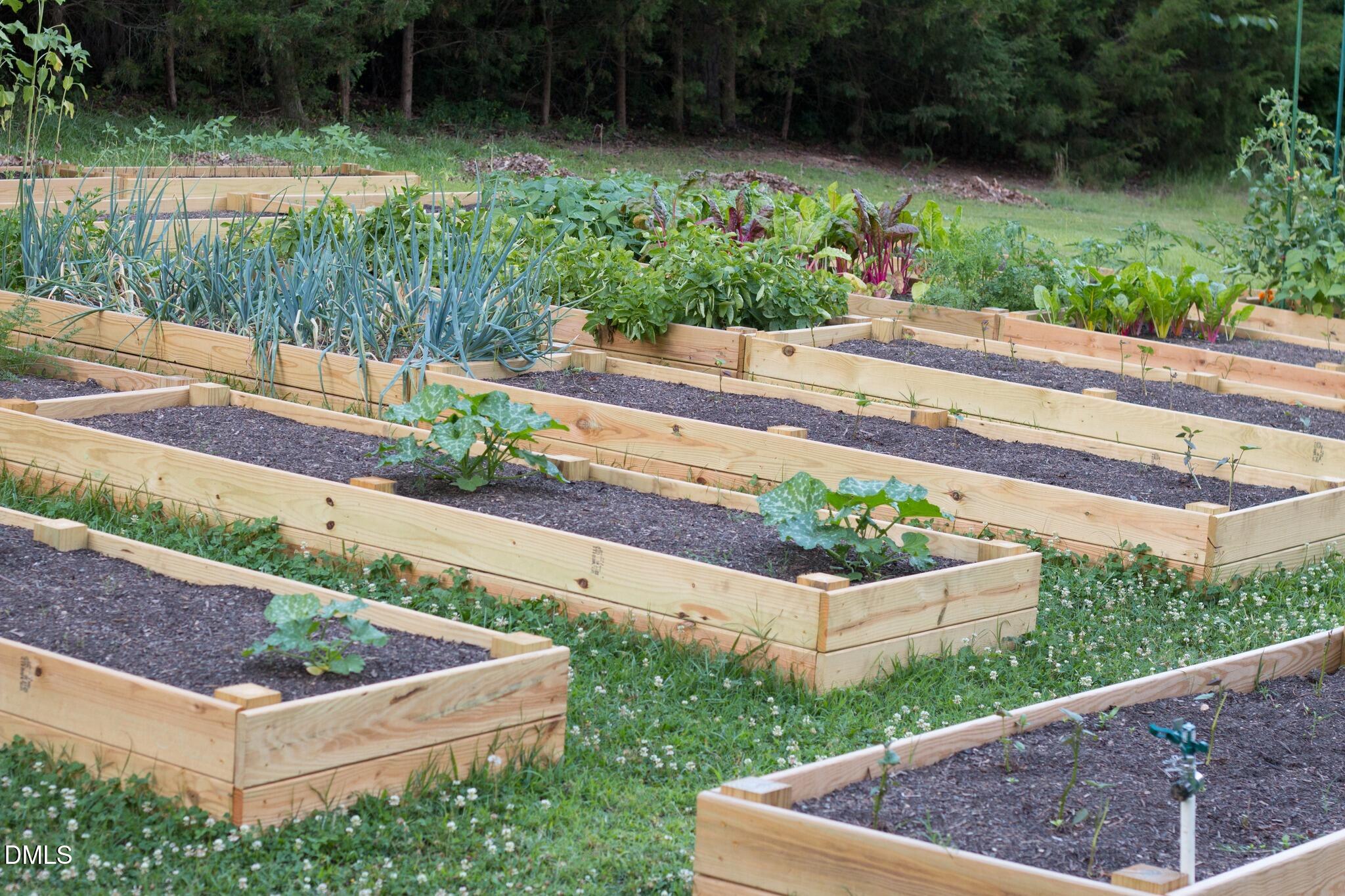 4313 Mitchell Mill Road Wake Forest, NC 27587 - Photo 38 of 45 HABF garden