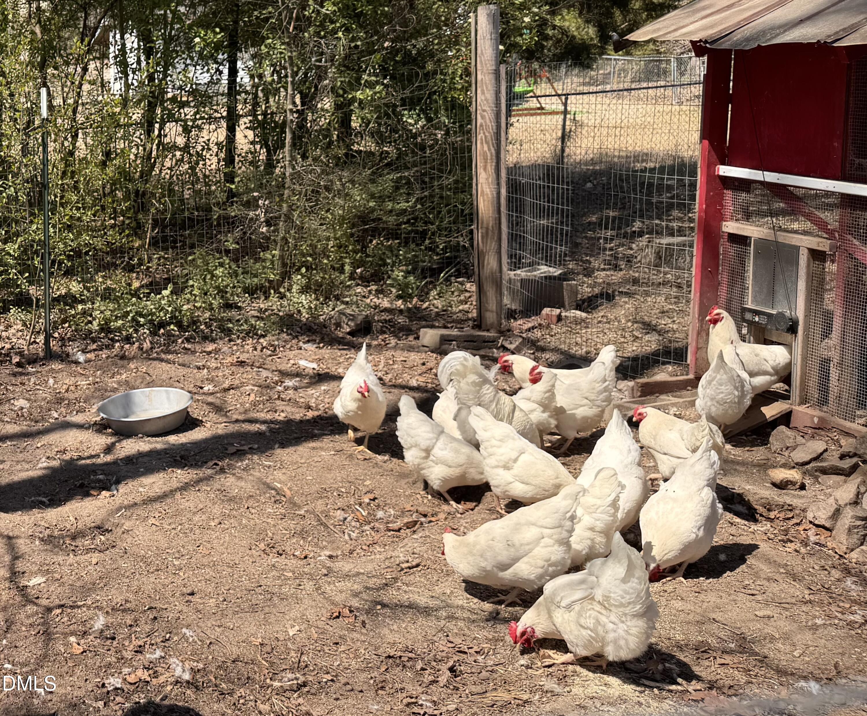 4313 Mitchell Mill Road Wake Forest, NC 27587 - Photo 40 of 45 Photo Mar 25 2026, 1 23 53 PM