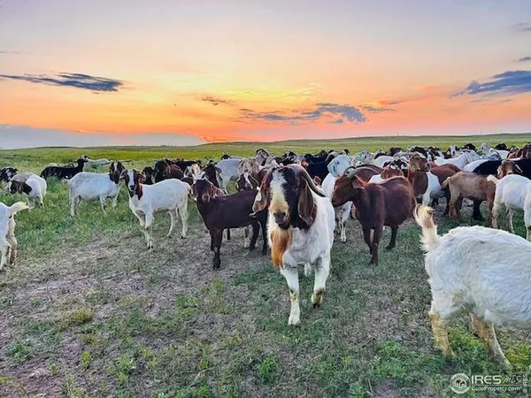 $1,699,000 | 39281 County Road 38, Fleming, CO 80728