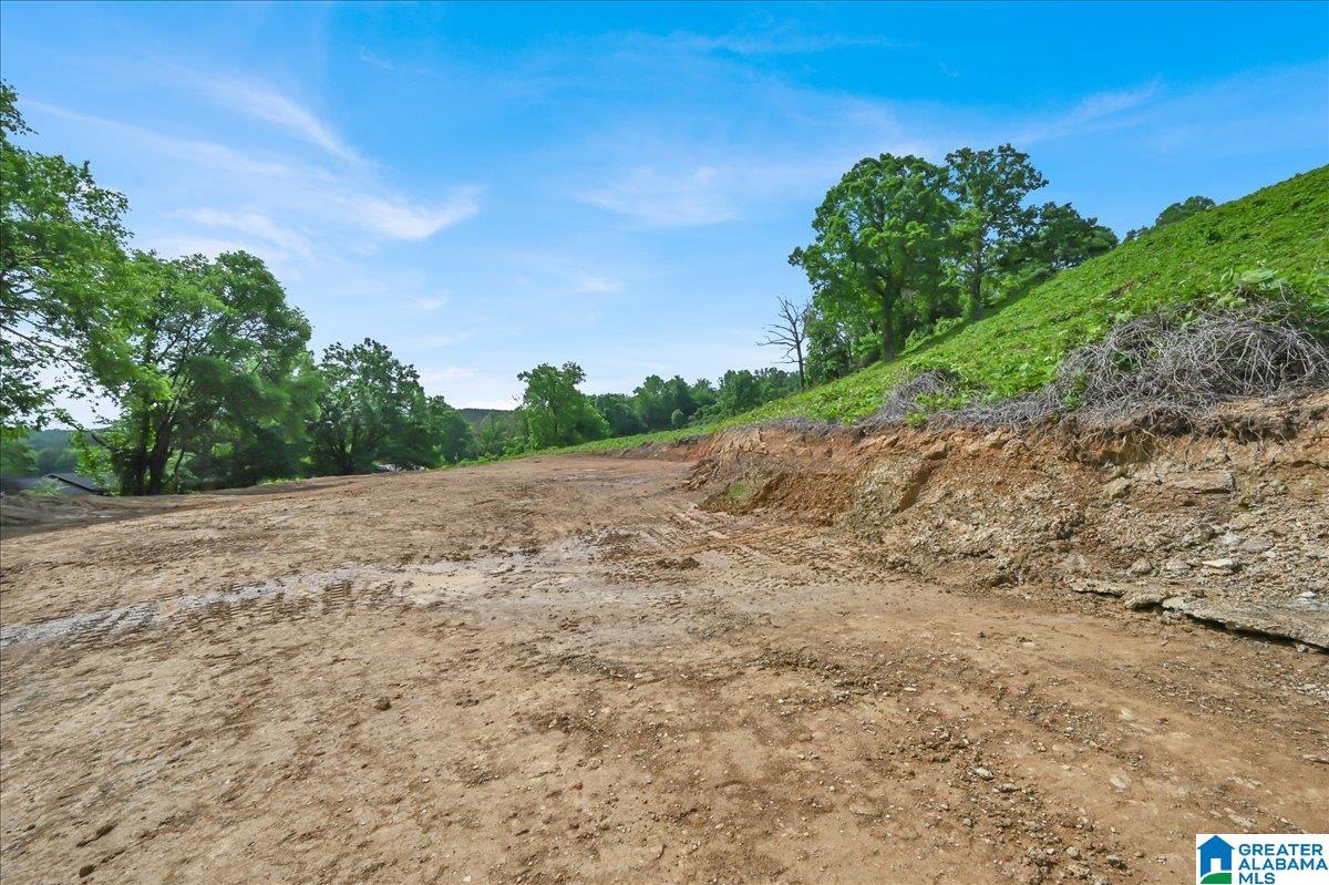 239 Doss Road Cullman, AL 35057 - Photo 32 of 39 Gallery Image 32