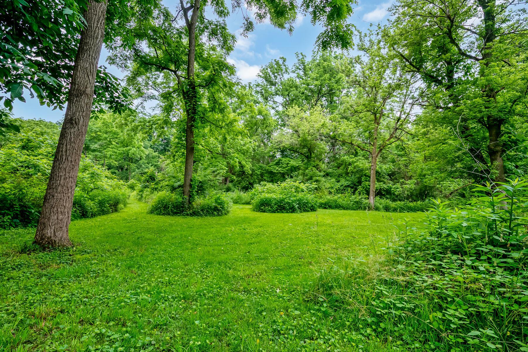 3115 Horseshoe Road Delaware, OH 43015 - Photo 56 of 60 Beautiful Backyard