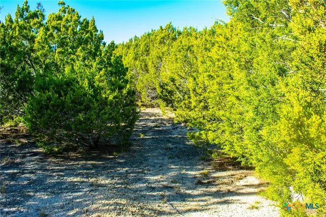 a view of swimming pool and mountain in the background