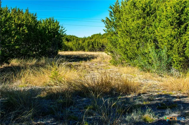 $150,000 | Lot 19 Homestead Drive, Lampasas, TX 76550