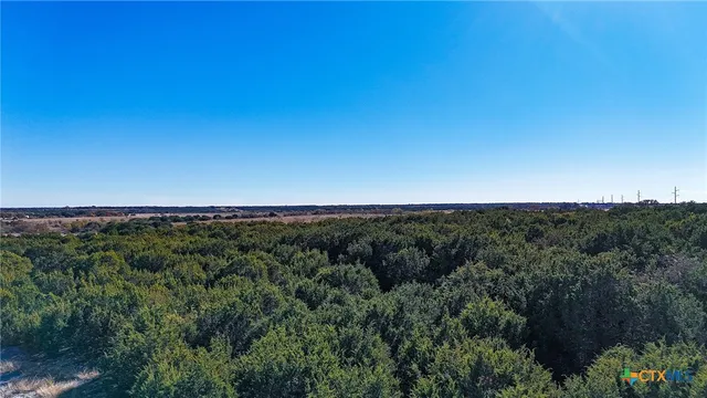 a view of a green field with lots of bushes