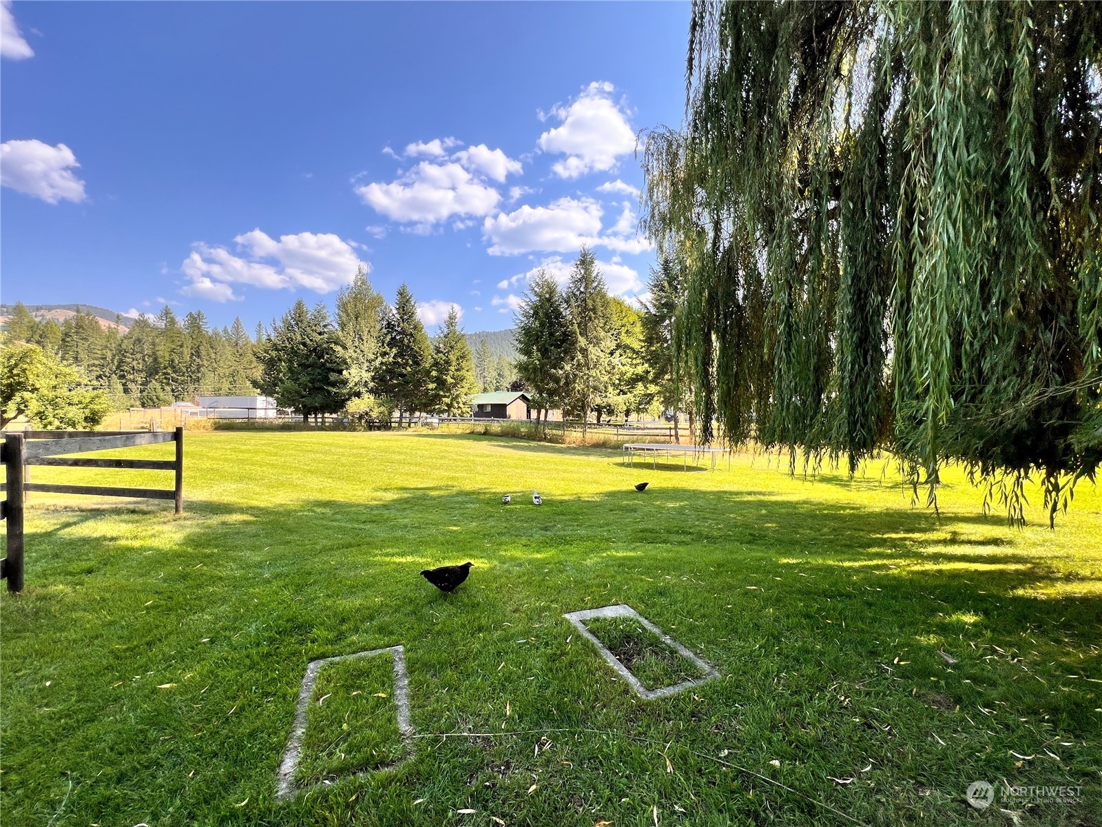 17 Casey's Ranch Road Danville, WA 99121 - Photo 2 of 37