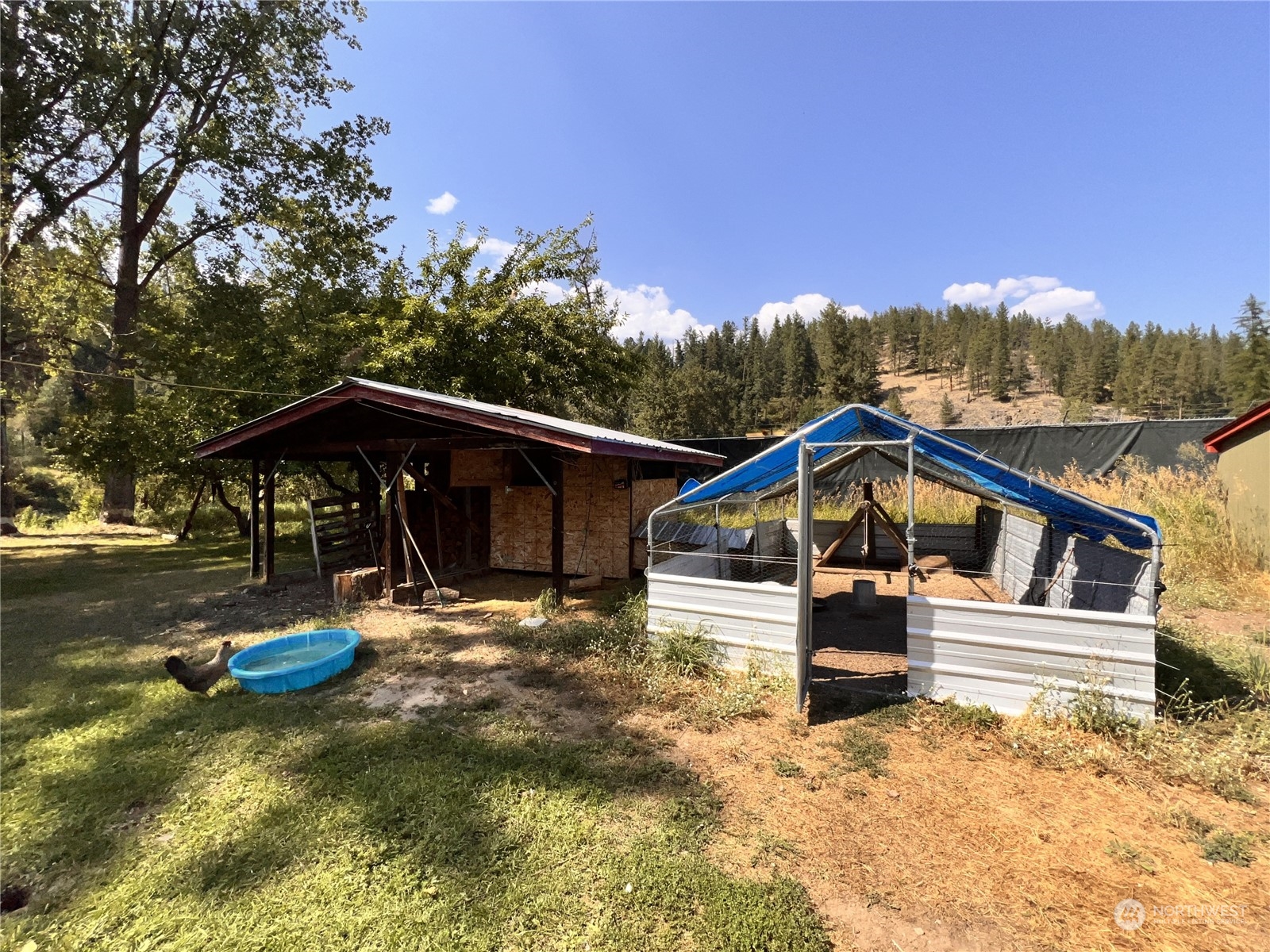 17 Casey's Ranch Road Danville, WA 99121 - Photo 32 of 37