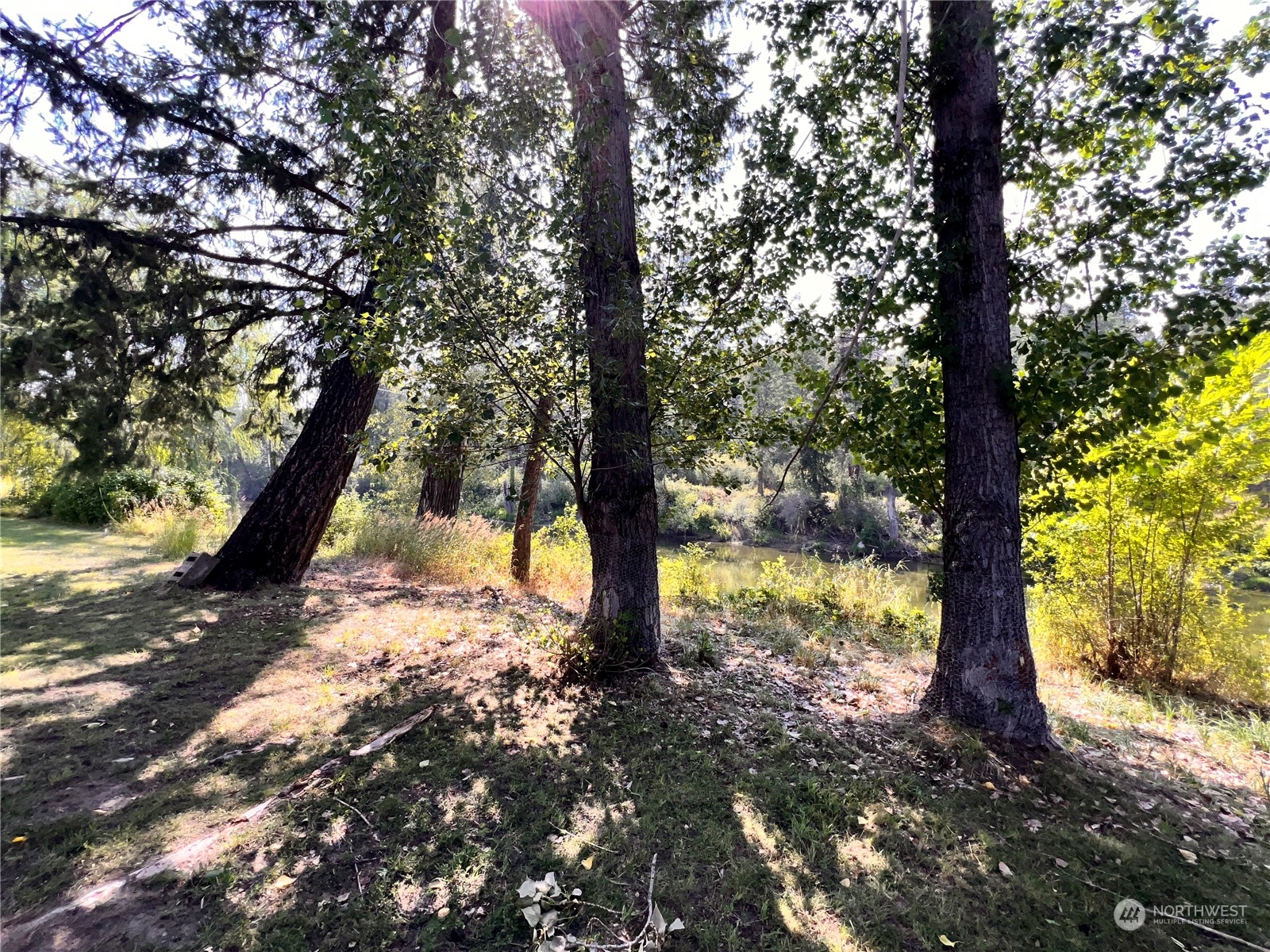 17 Casey's Ranch Road Danville, WA 99121 - Photo 33 of 37