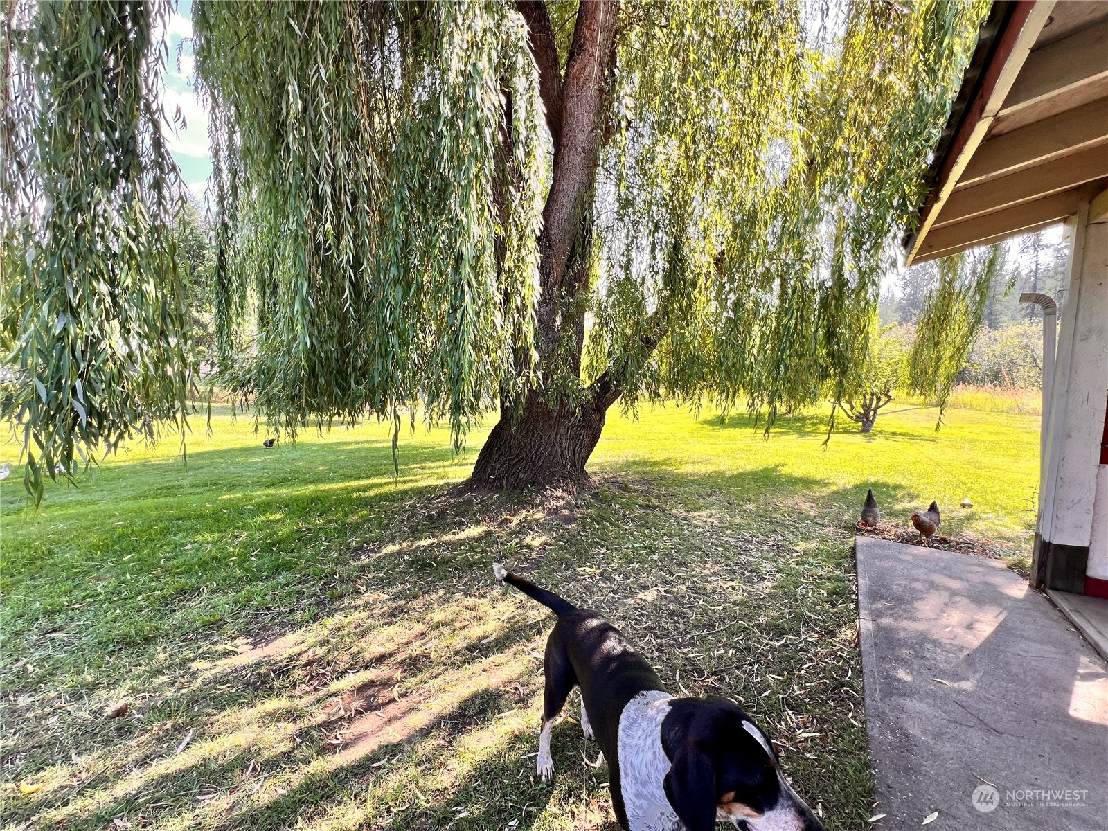 17 Casey's Ranch Road Danville, WA 99121 - Photo 37 of 37