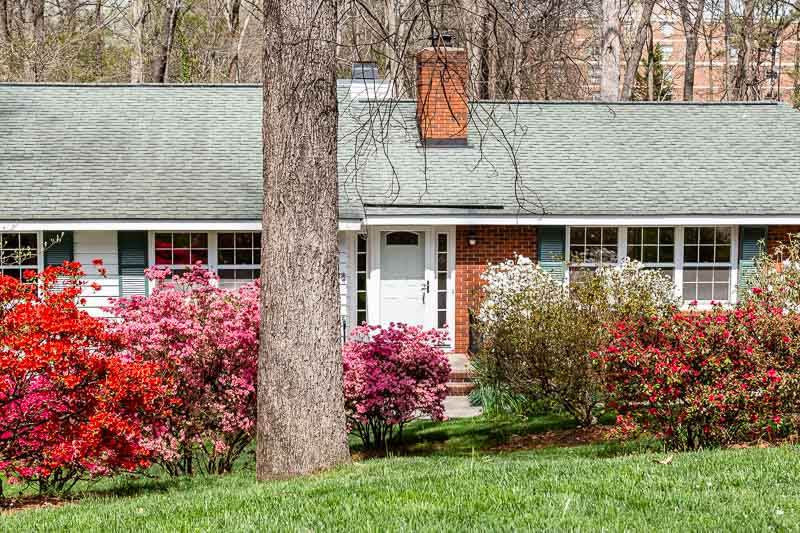 1808 Manuel Street Raleigh, NC 27612 - Photo 2 of 29 Photo 2