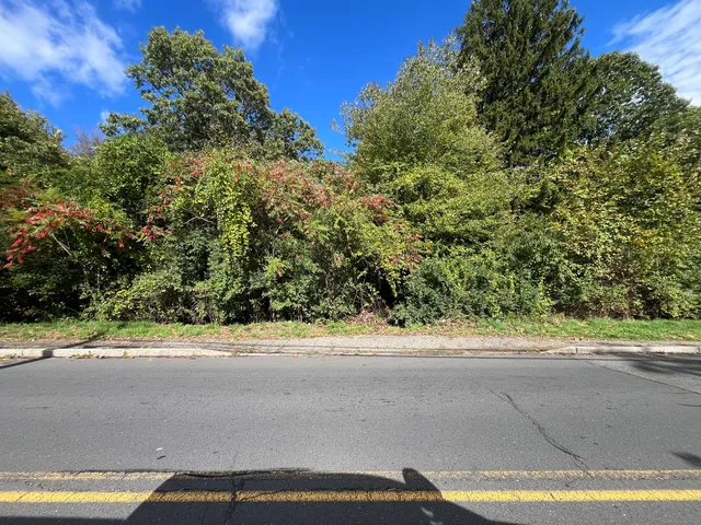 a view of a yard with a plants and trees