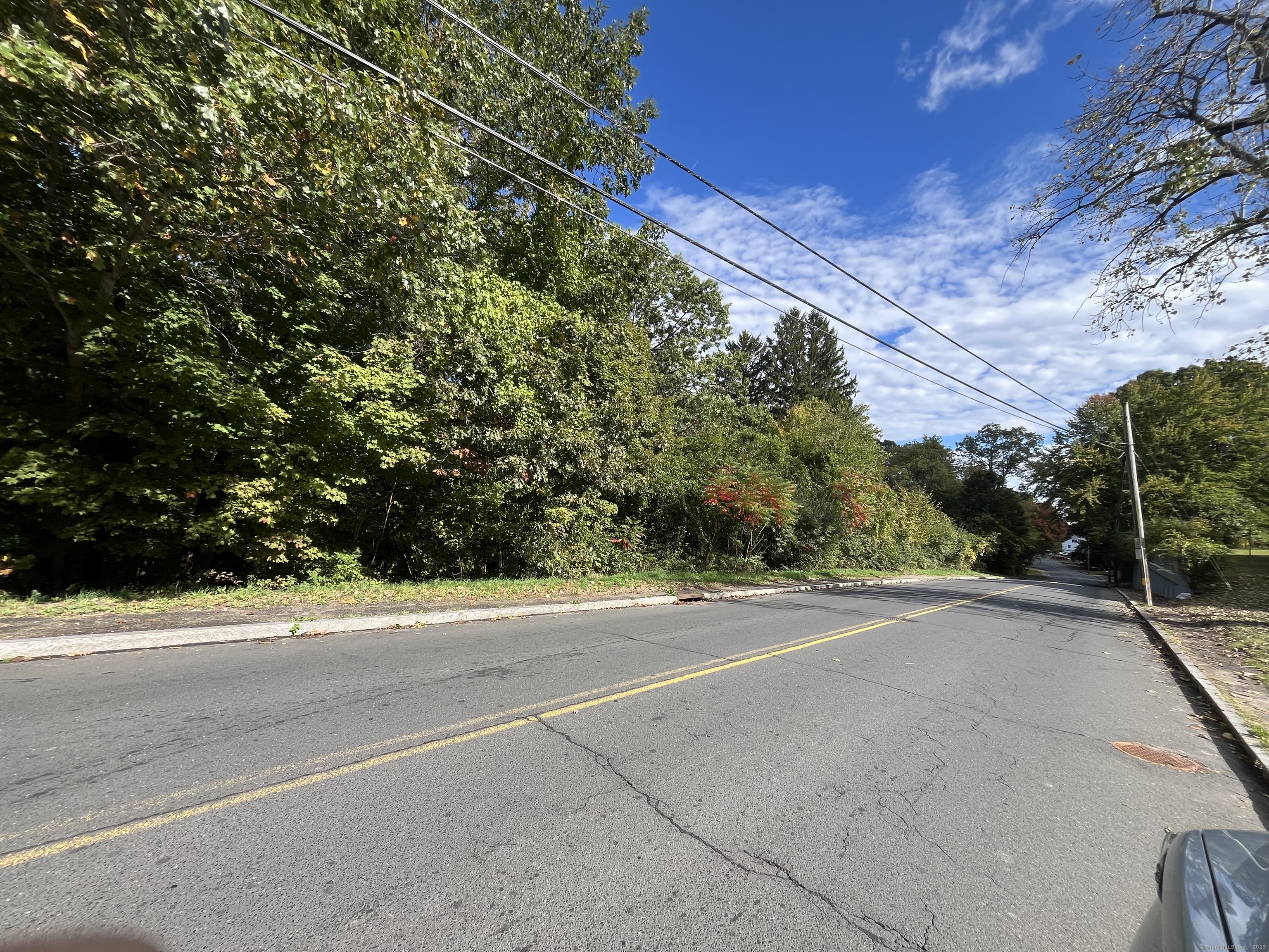 282 Oakville Avenue Waterbury, CT 06708 - Photo 5 of 5 a view of a yard with a plants and trees
