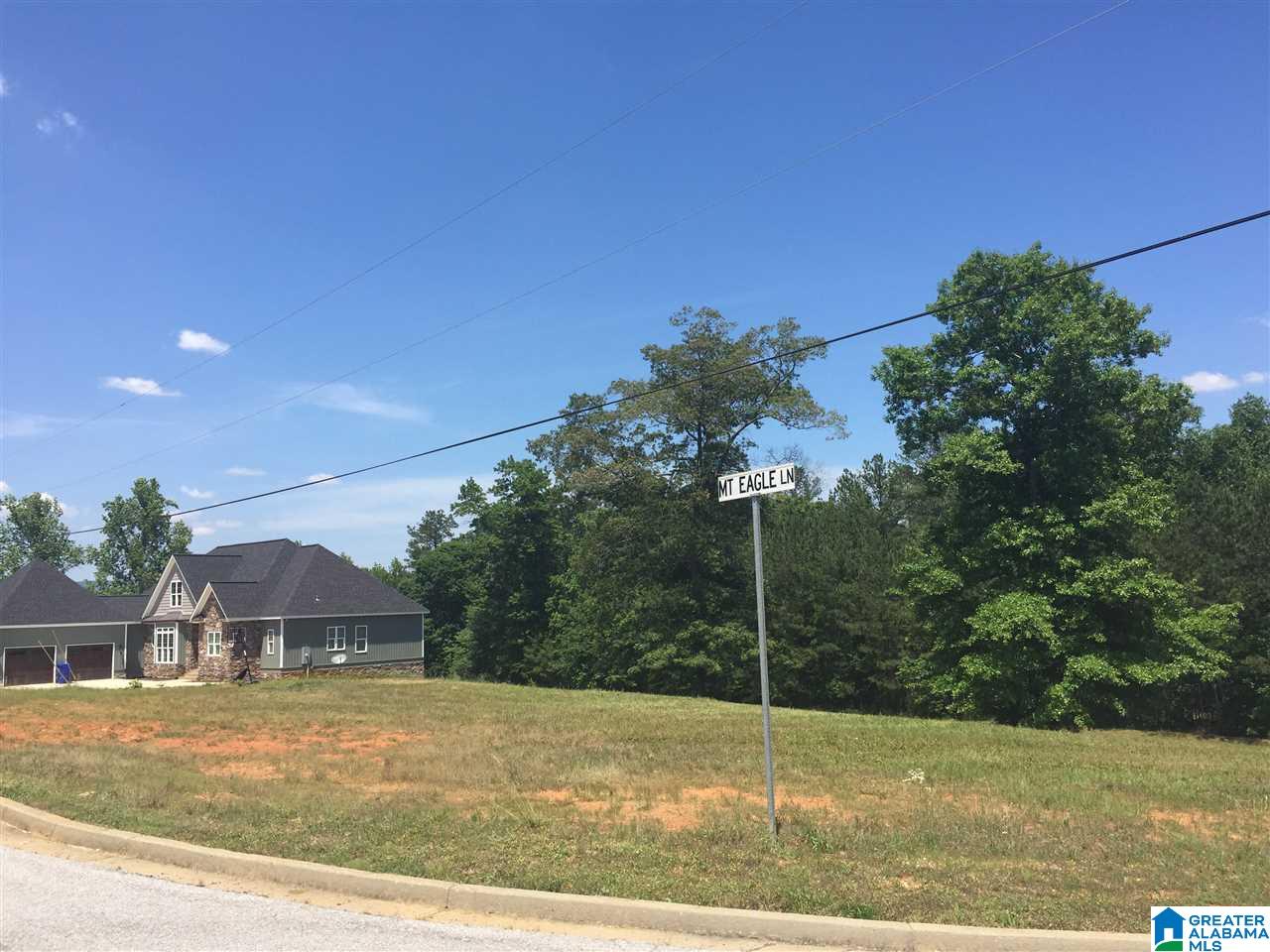 0 Mount Eagle Lane, Unit 1 Anniston, AL 36207 - Photo 1 of 19