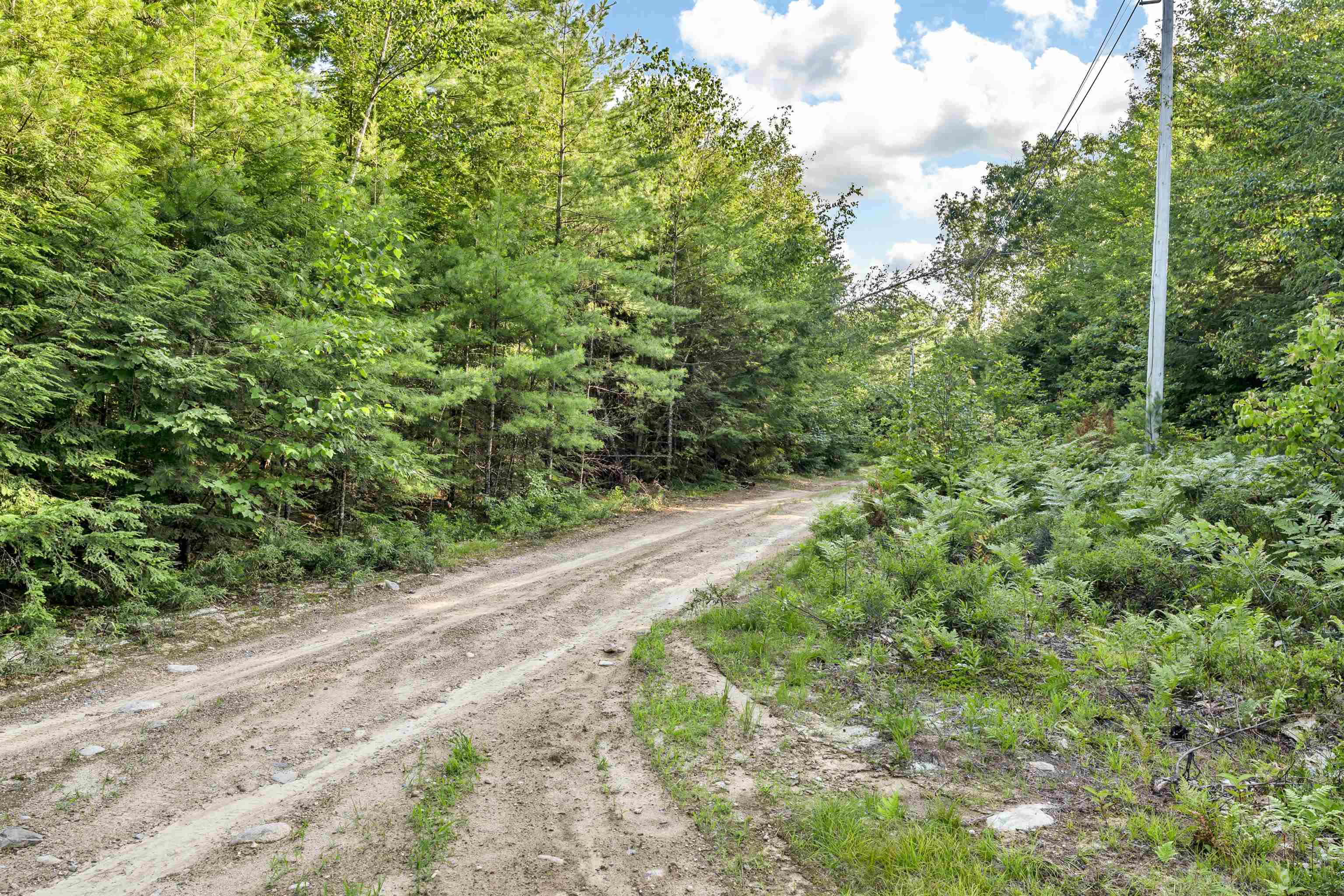 290 Pine Hill Road Wolfeboro, NH 03894 - Photo 5 of 16