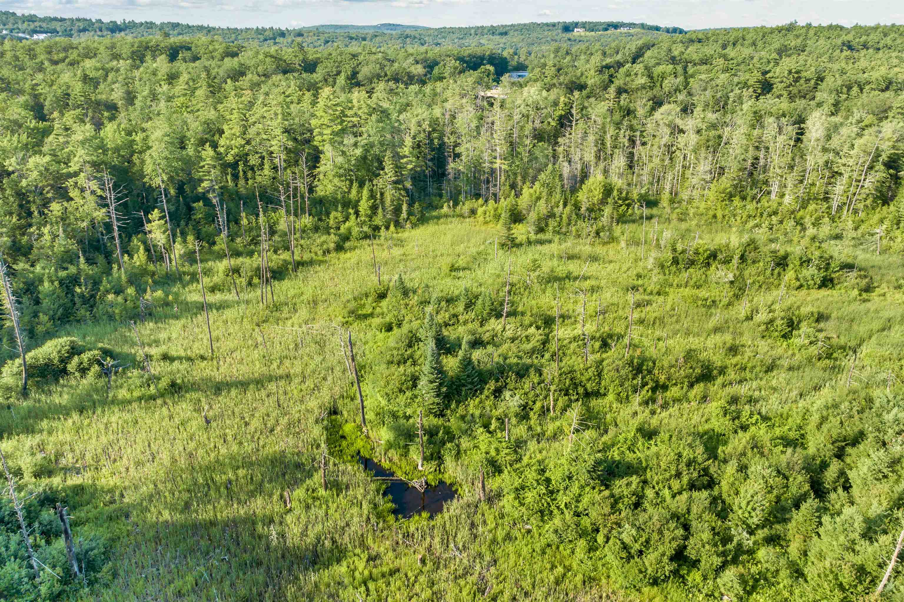 290 Pine Hill Road Wolfeboro, NH 03894 - Photo 6 of 16