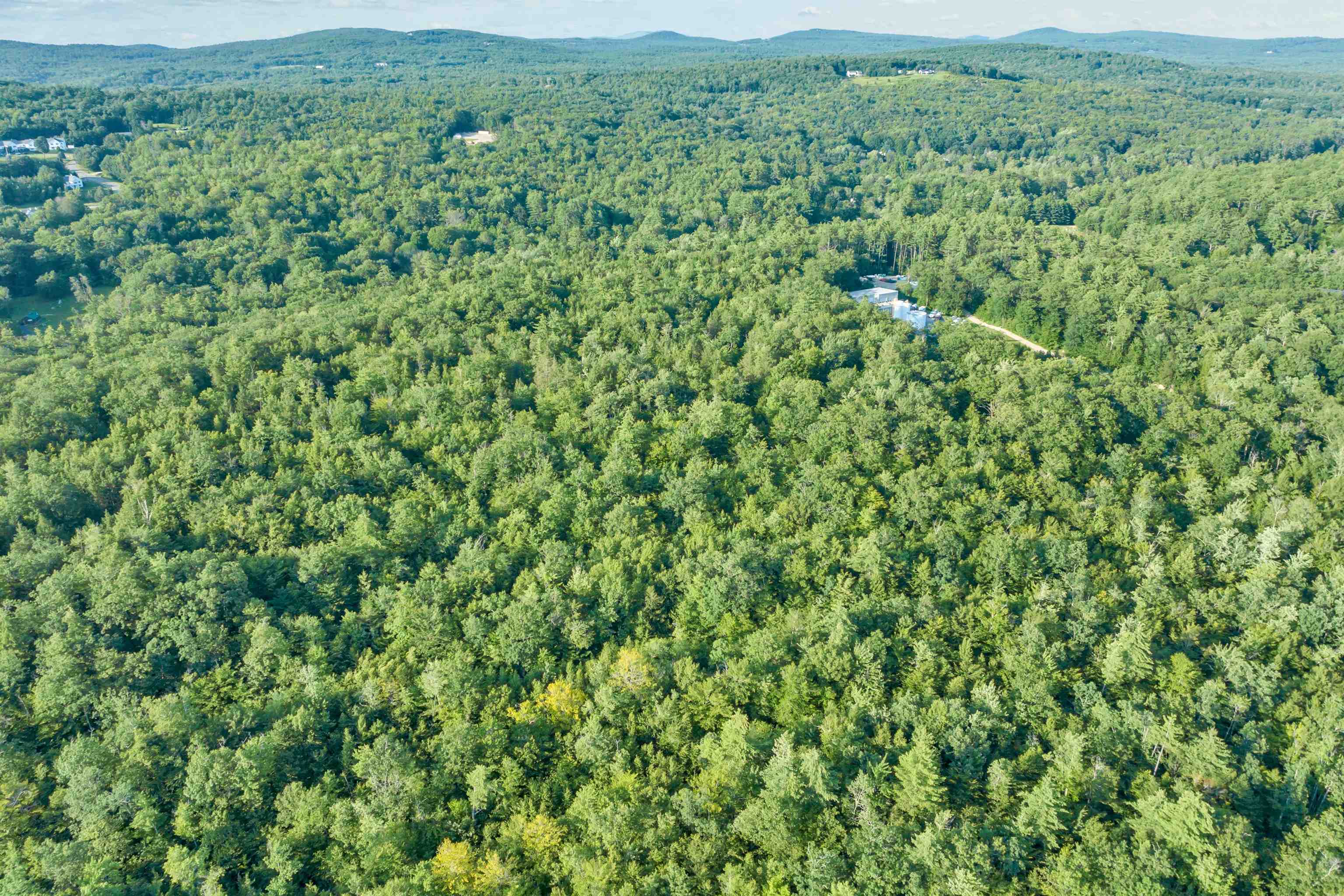 290 Pine Hill Road Wolfeboro, NH 03894 - Photo 7 of 16