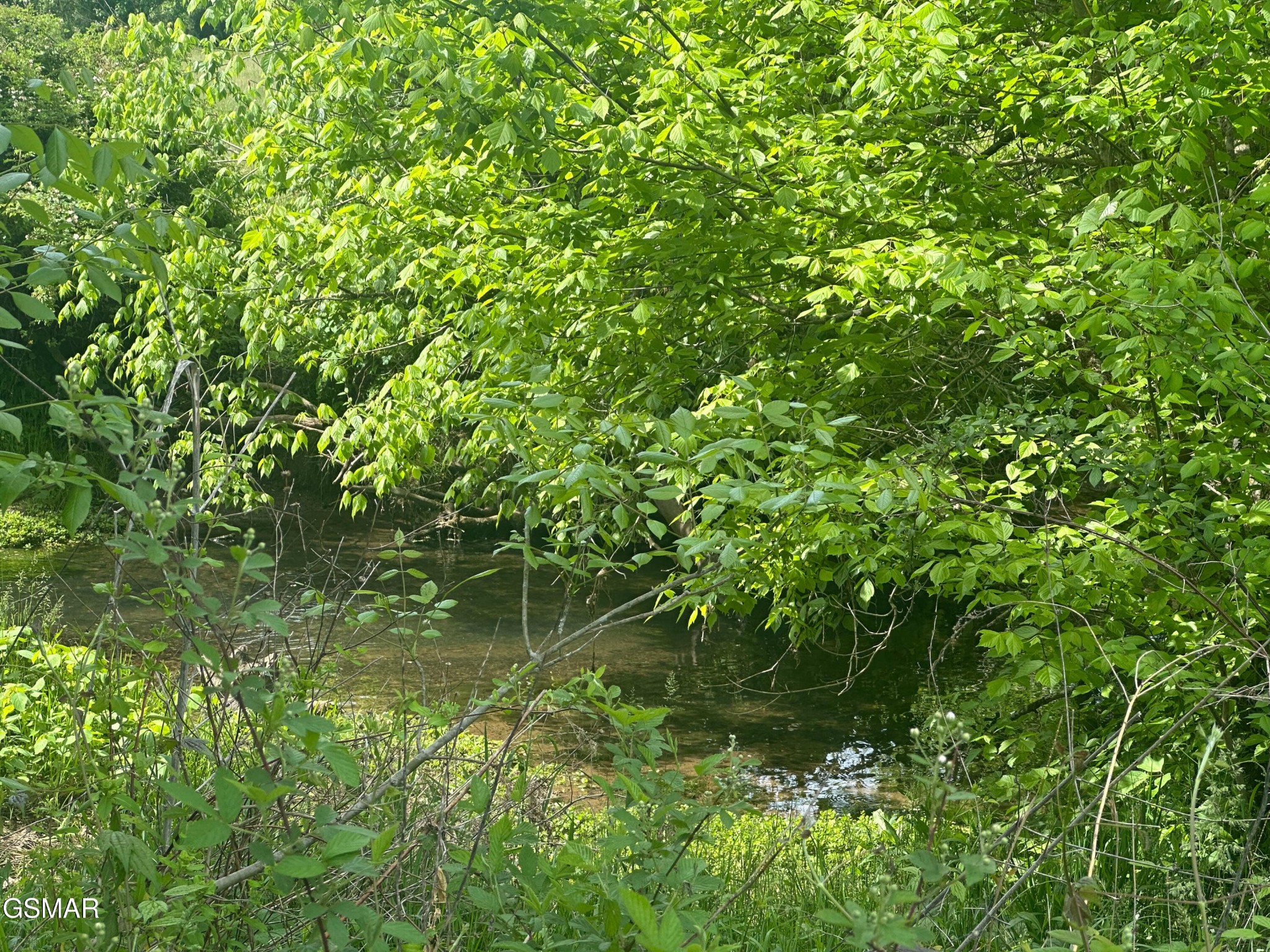 252 Toppy Russell Lane Speedwell, TN 37870 - Photo 6 of 6