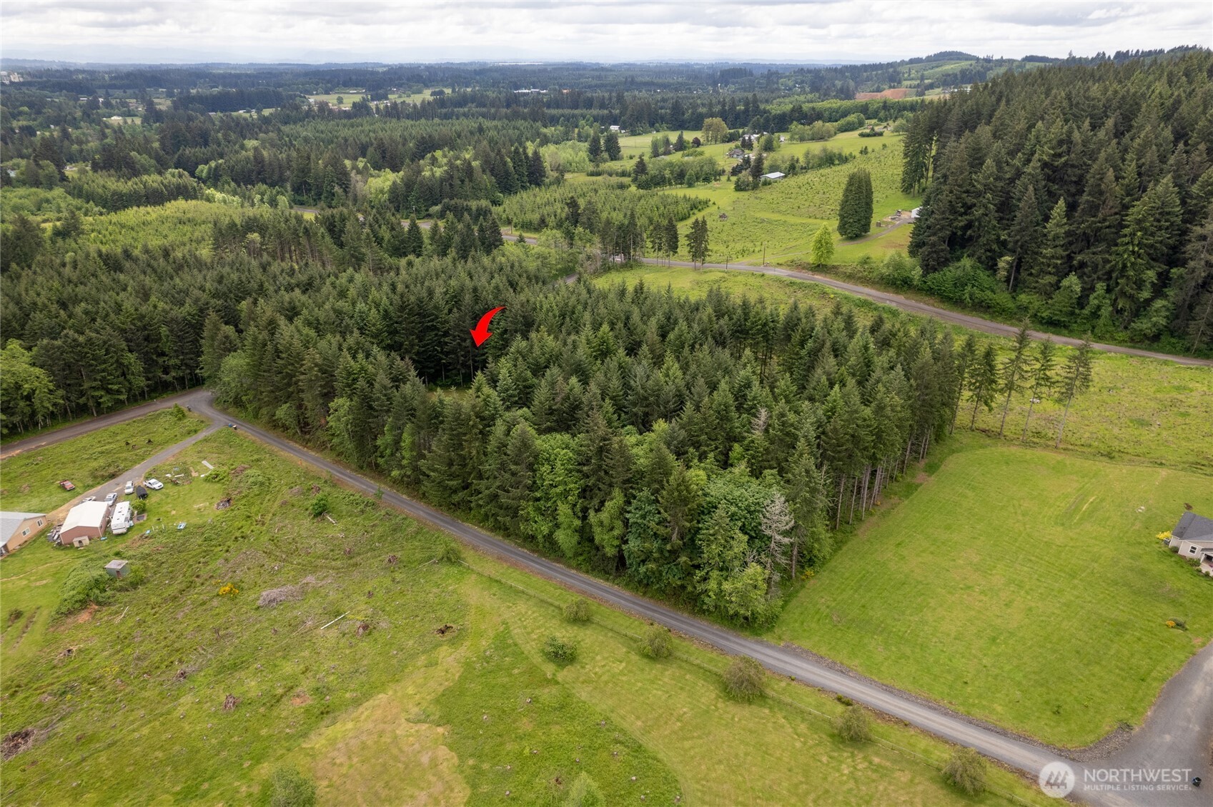 123 Lentz Road North Winlock, WA 98596 - Photo 38 of 40