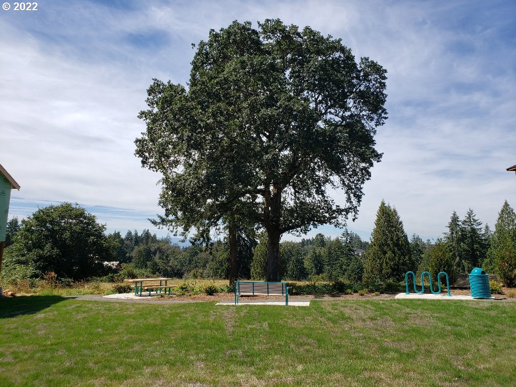 227 Northeast 28th Court Ridgefield, WA 98642 - Photo 3 of 3