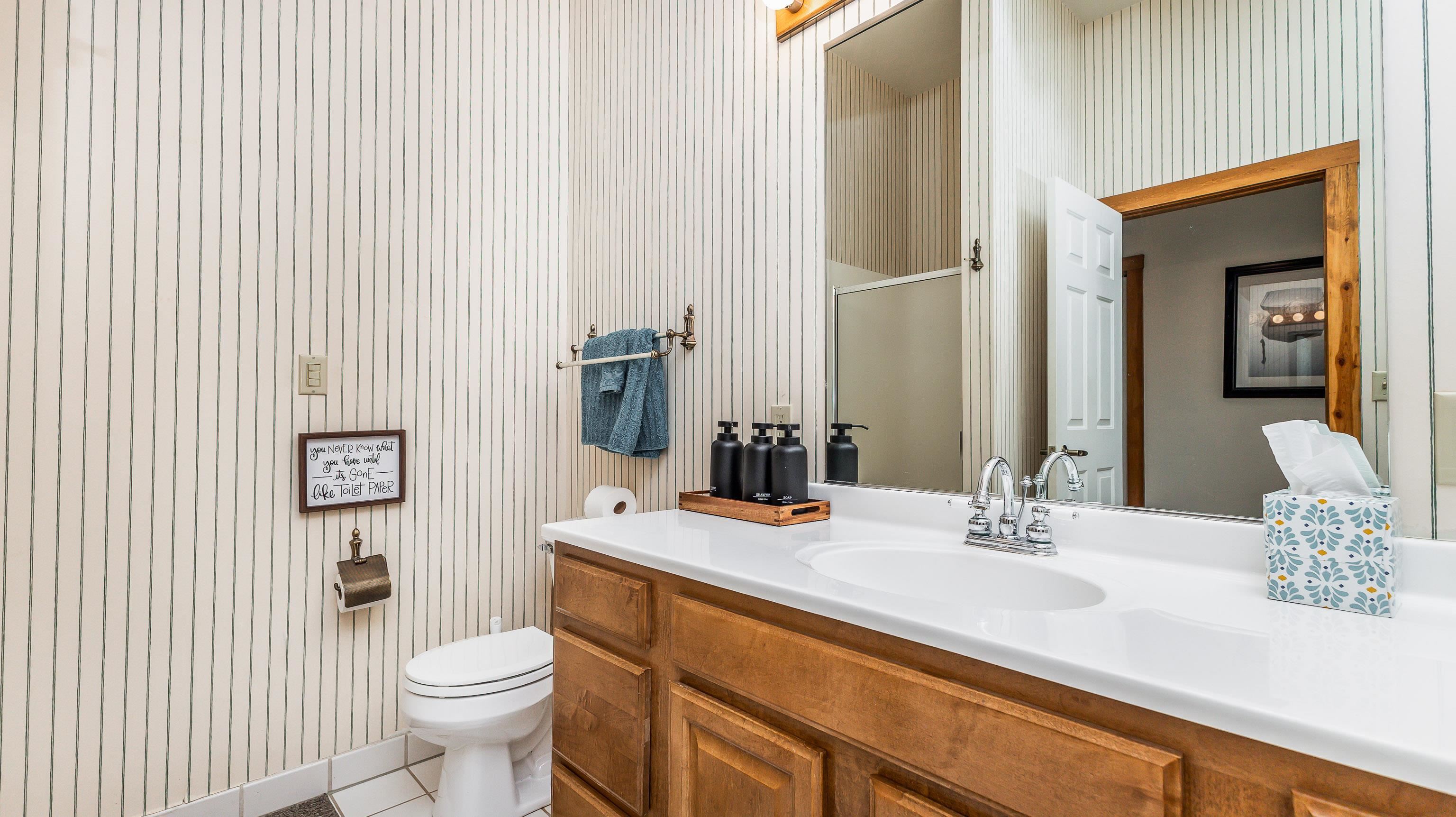 5129 West Longhollow Road Galena, IL 61036 - Photo 10 of 20 a bathroom with a sink a toilet and mirror