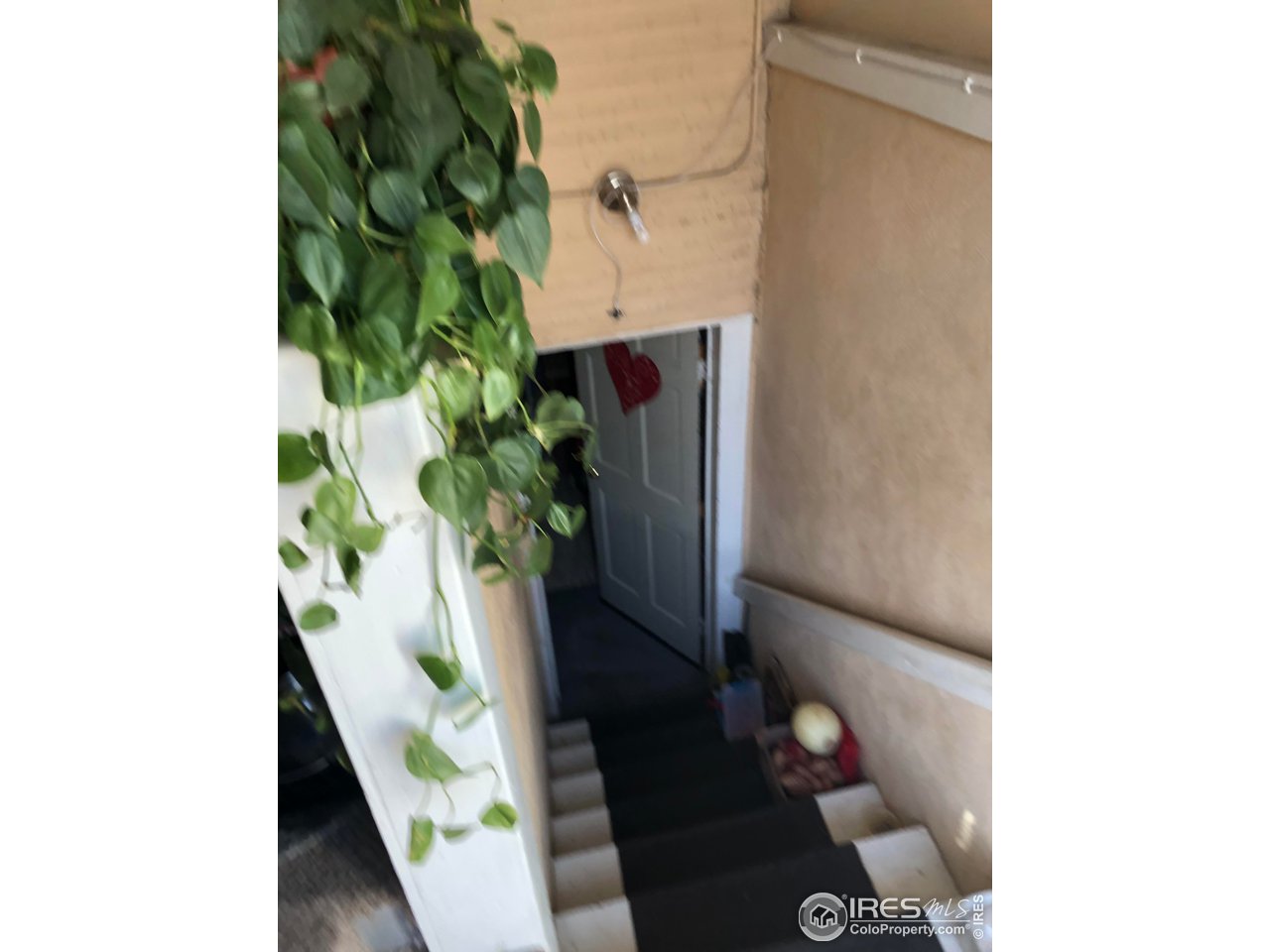 1458 10th Street Greeley, CO 80631 - Photo 11 of 21