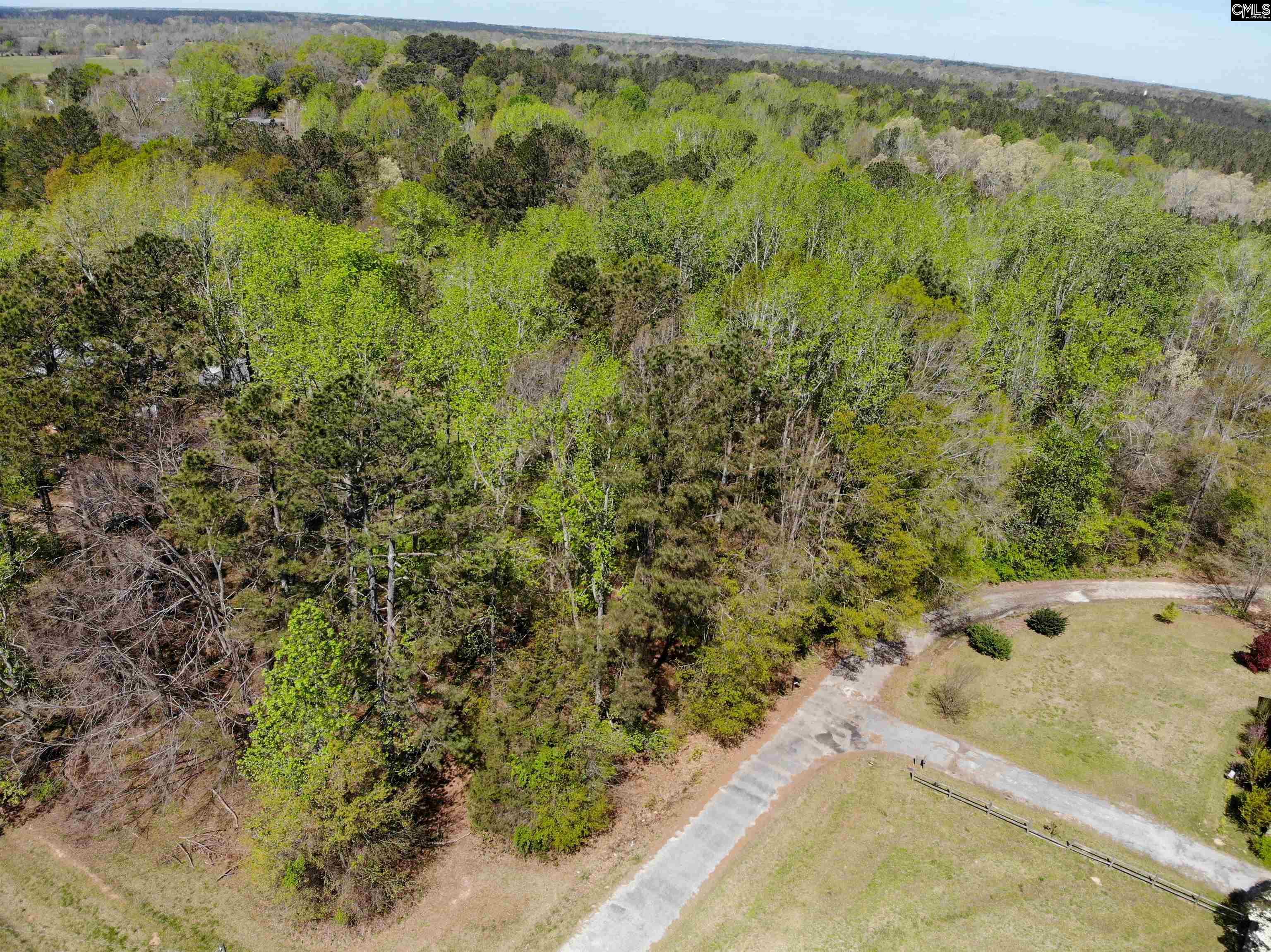 Tbd James Road Joanna, SC 29351 - Photo 27 of 82