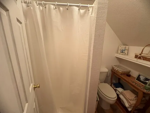 a bathroom with a sink a toilet a rug and shower curtain