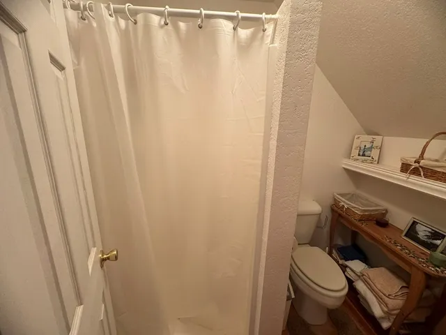 a bathroom with a sink a toilet a rug and shower curtain