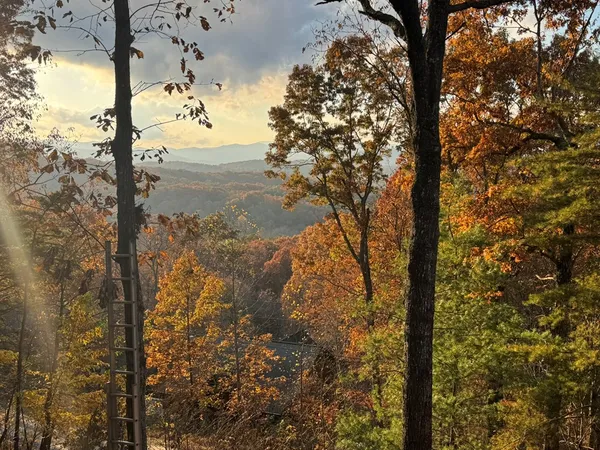 a view of a yard with wooden fence