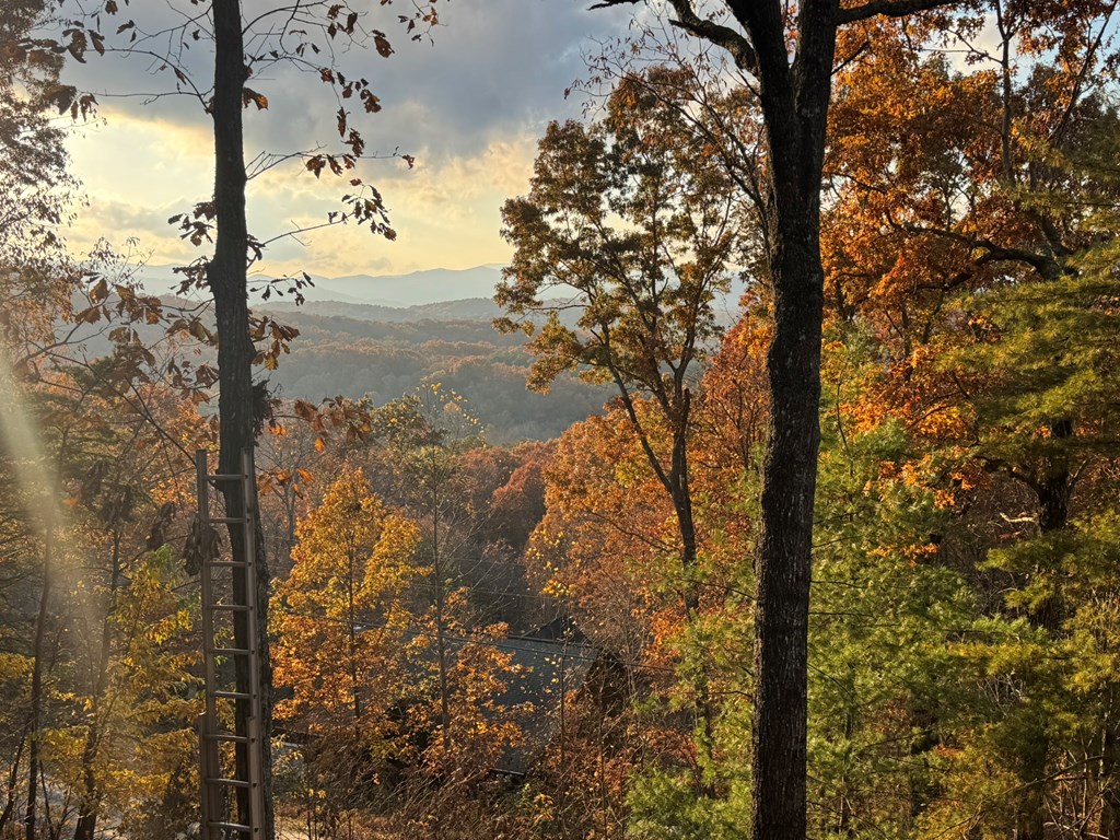664 Fox Run Drive Blue Ridge, GA 30513 - Photo 3 of 19 a view of a yard with wooden fence