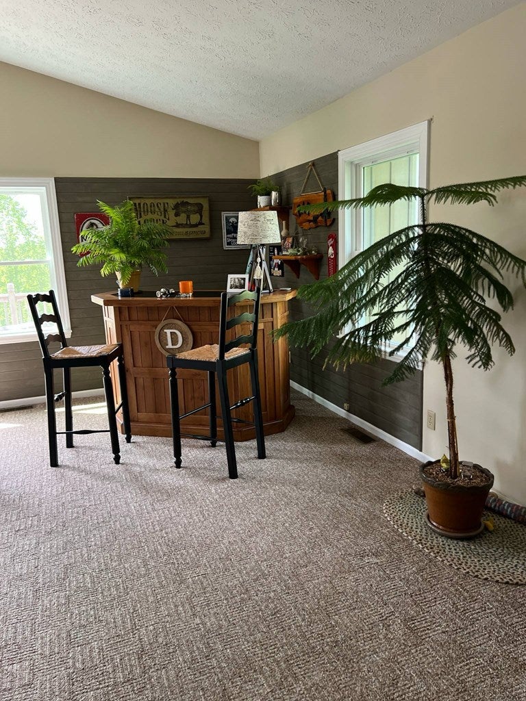 183 Hemlock Ridge Road Hillsville, VA 24343 - Photo 18 of 30 Gallery Image 18