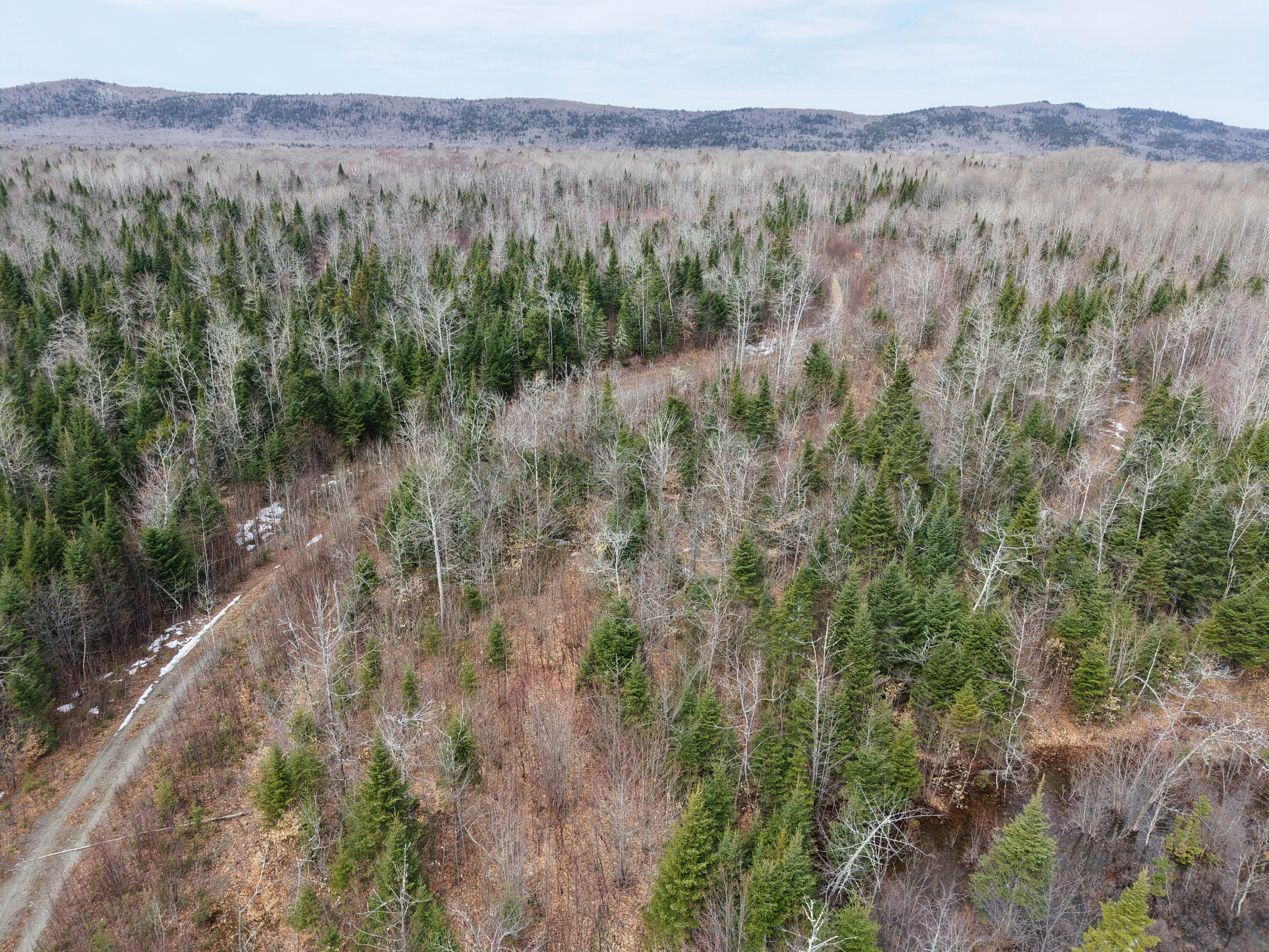 M4-l2l2b West Chapman Road Mapleton, ME 04757 - Photo 7 of 12 Overhead-3