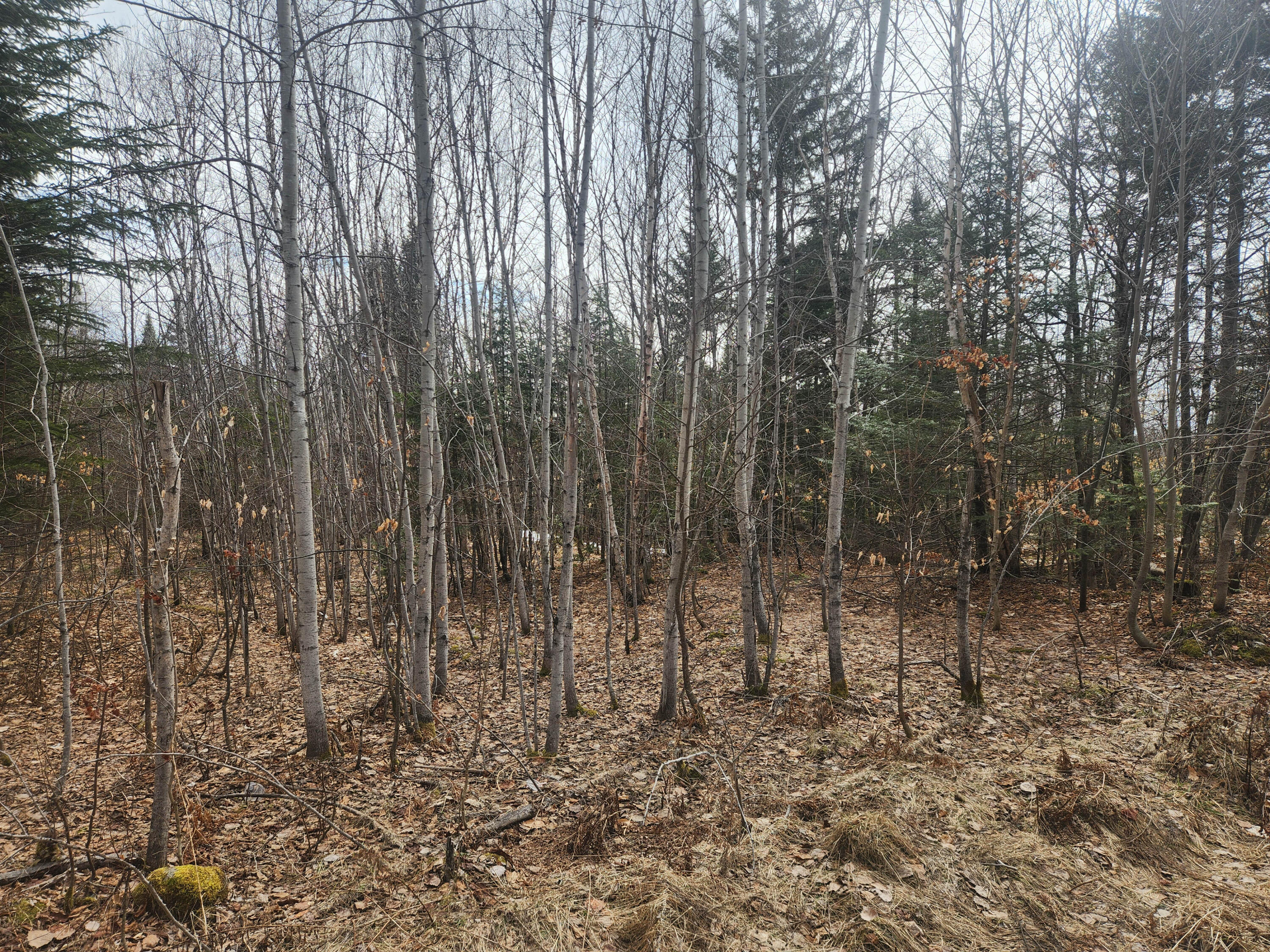 M4-l2l2b West Chapman Road Mapleton, ME 04757 - Photo 8 of 12 Overhead-4
