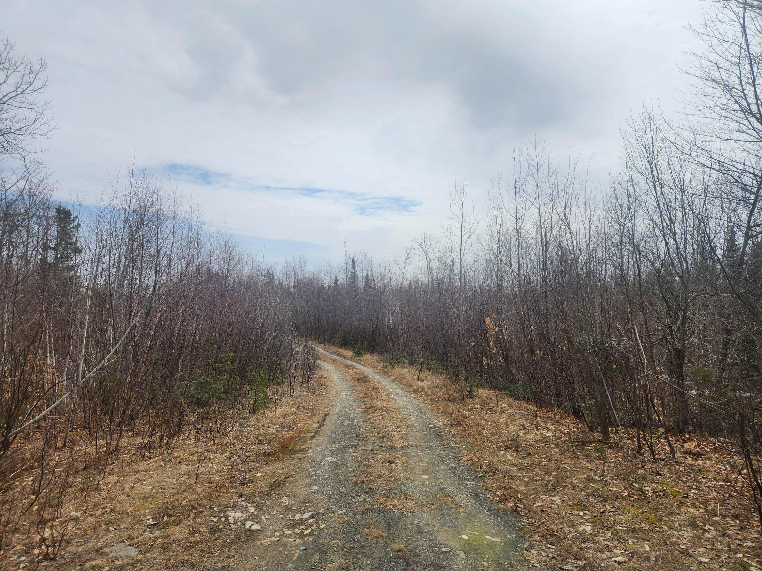 M4-l2l2b West Chapman Road Mapleton, ME 04757 - Photo 9 of 12 Overhead-5