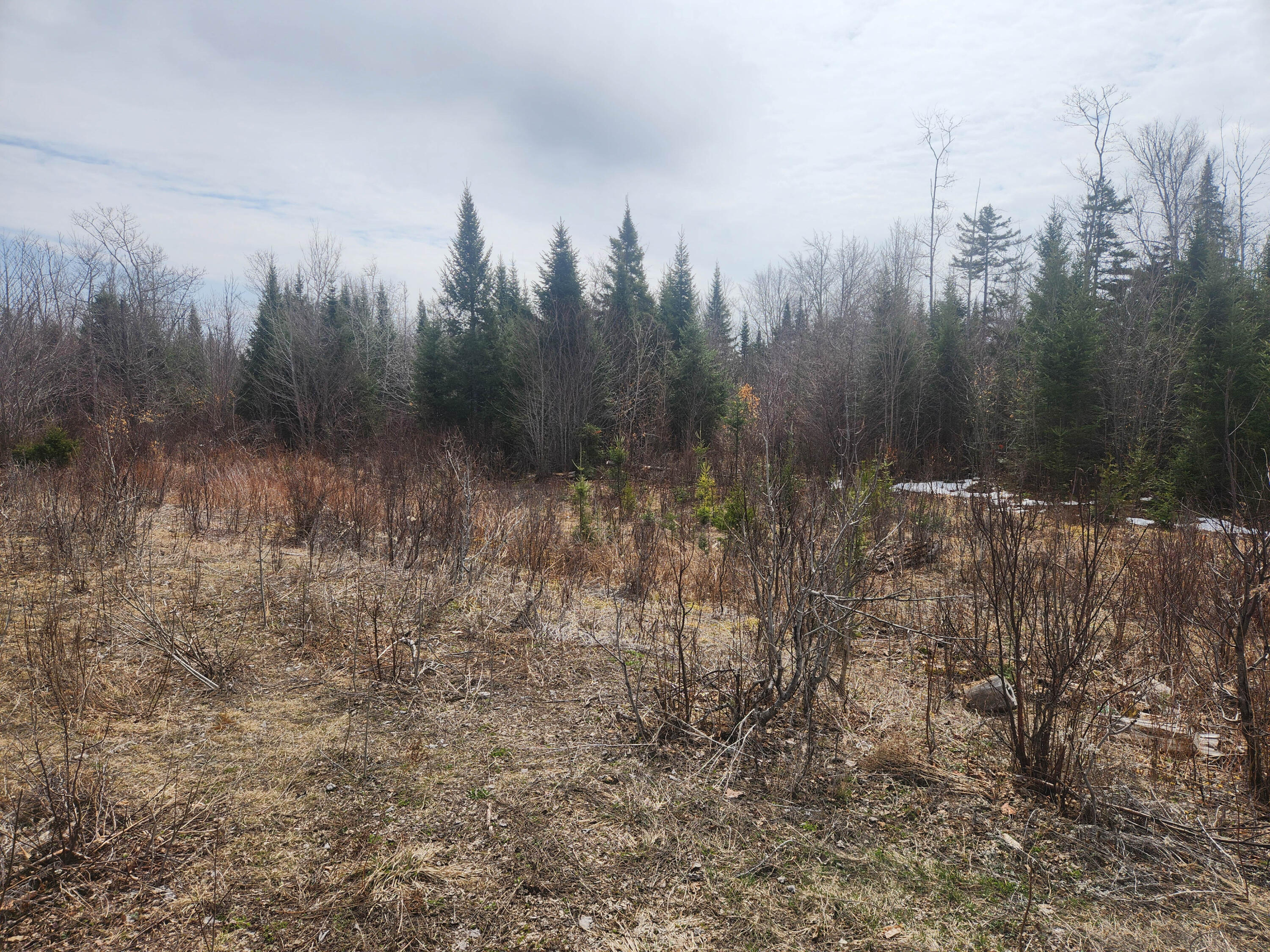 M4-l2l2b West Chapman Road Mapleton, ME 04757 - Photo 10 of 12 Overhead-6