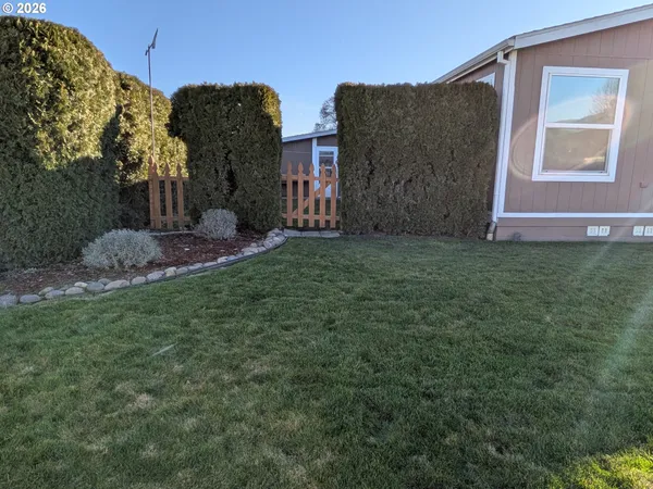 a view of a back yard